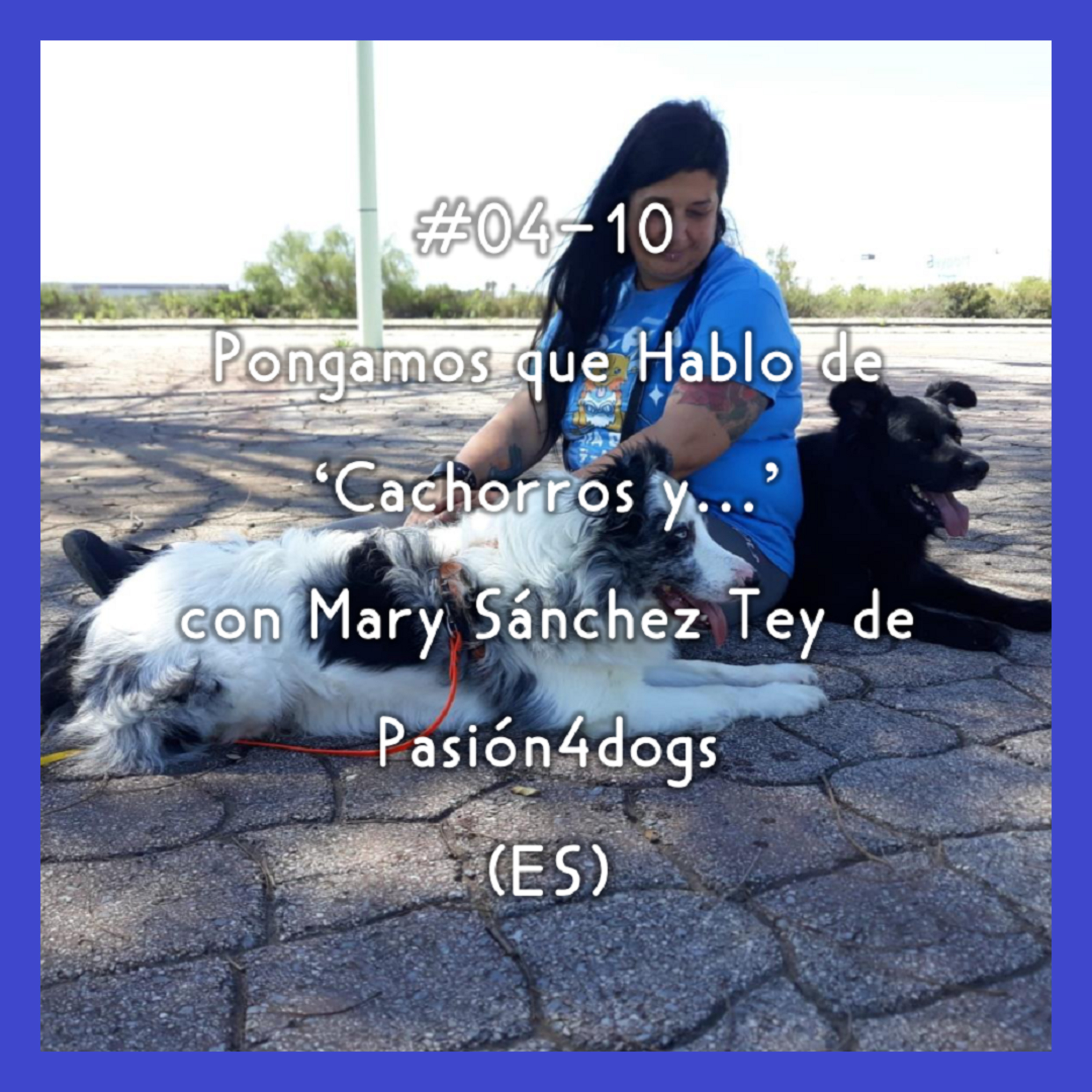 #04-10 - Pongamos que Hablo de 'Cachorros y...' con Mary Sánchez Tey de Pasión4dogs (ES) episode artwork