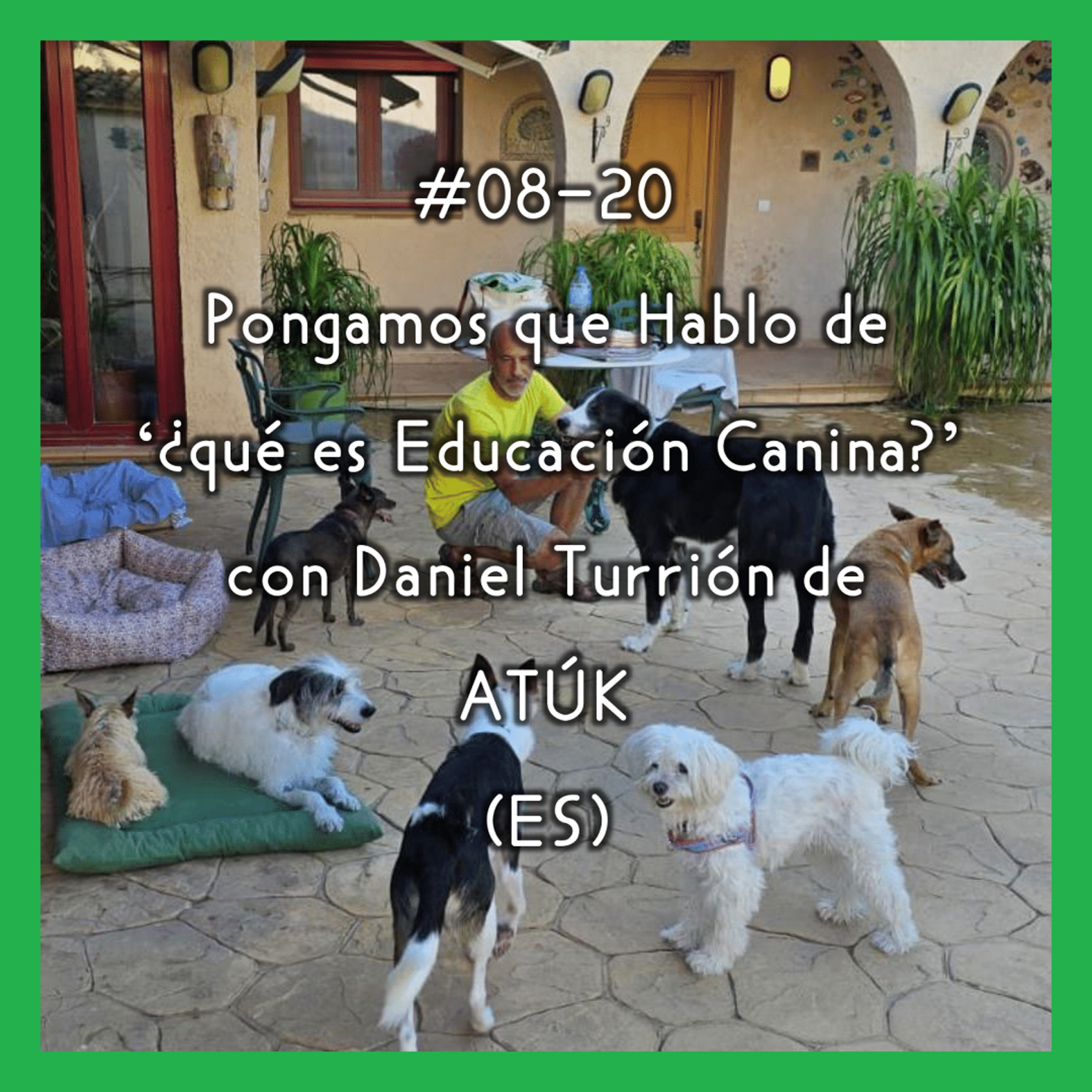 #08-20 - Pongamos que Hablo de '¿qué es Educación Canina?' con Daniel Turrión de ATÚK (ES) episode artwork