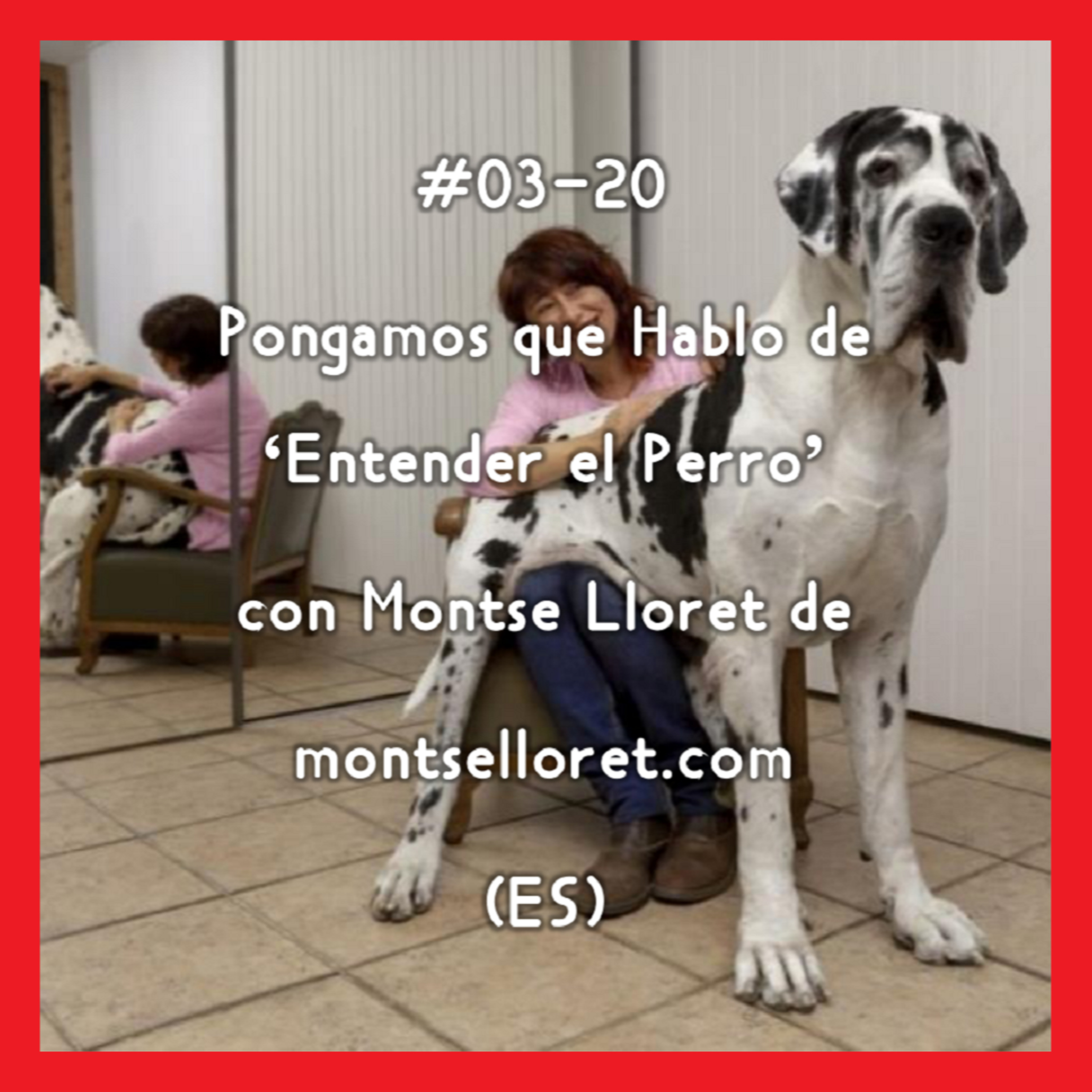 Pongamos que Hablo de Perros