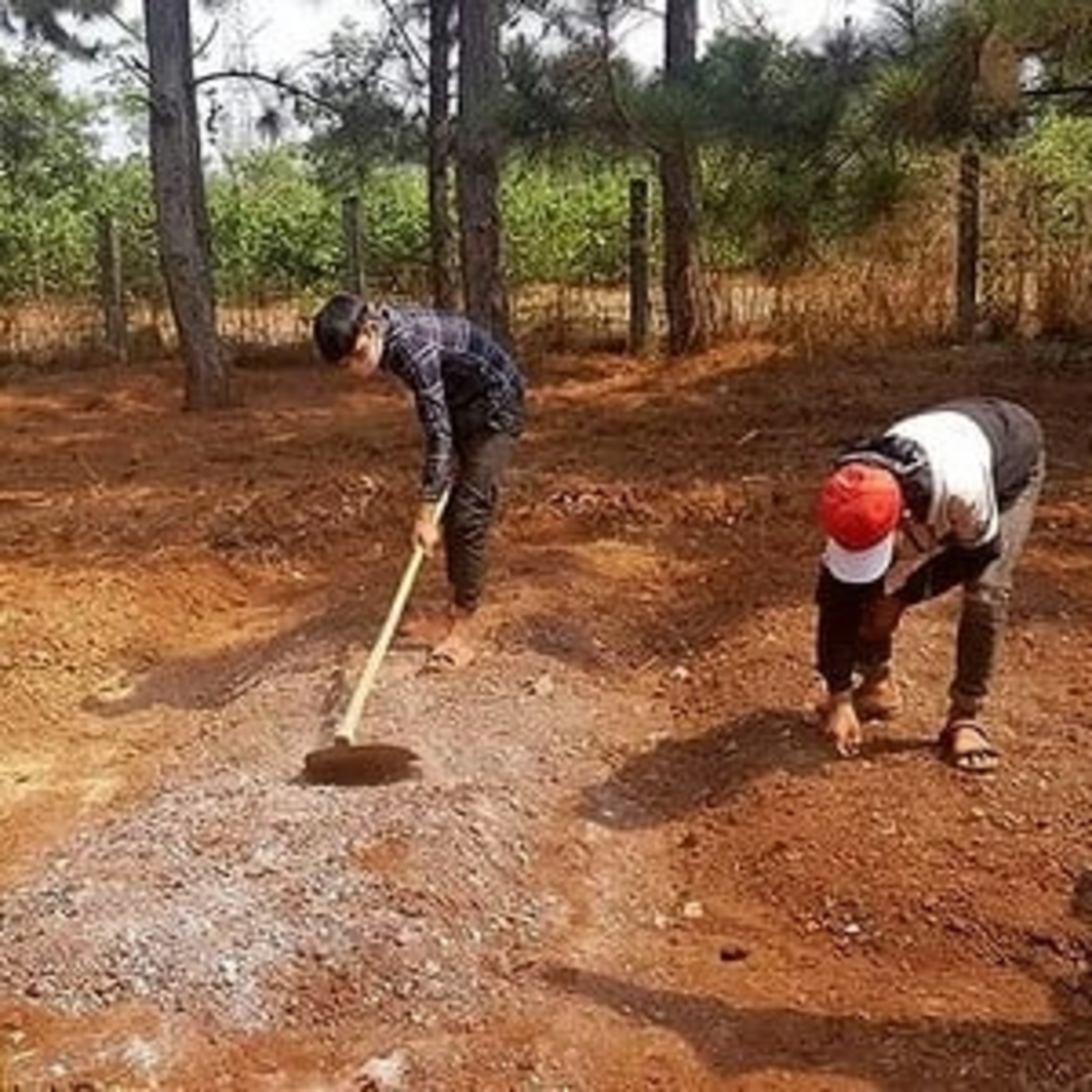 Sự việc & Góc nhìn