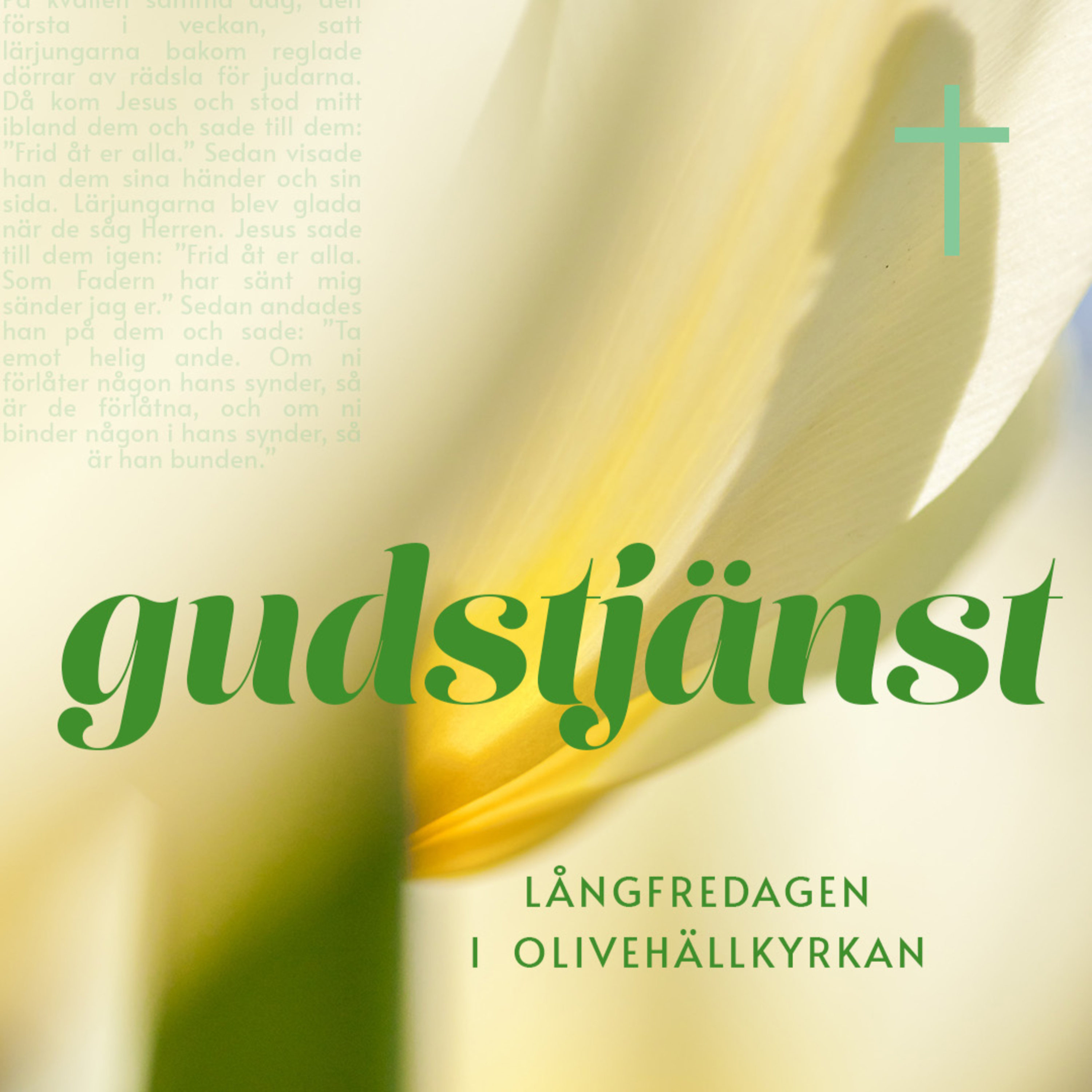 Olivehällkyrkan