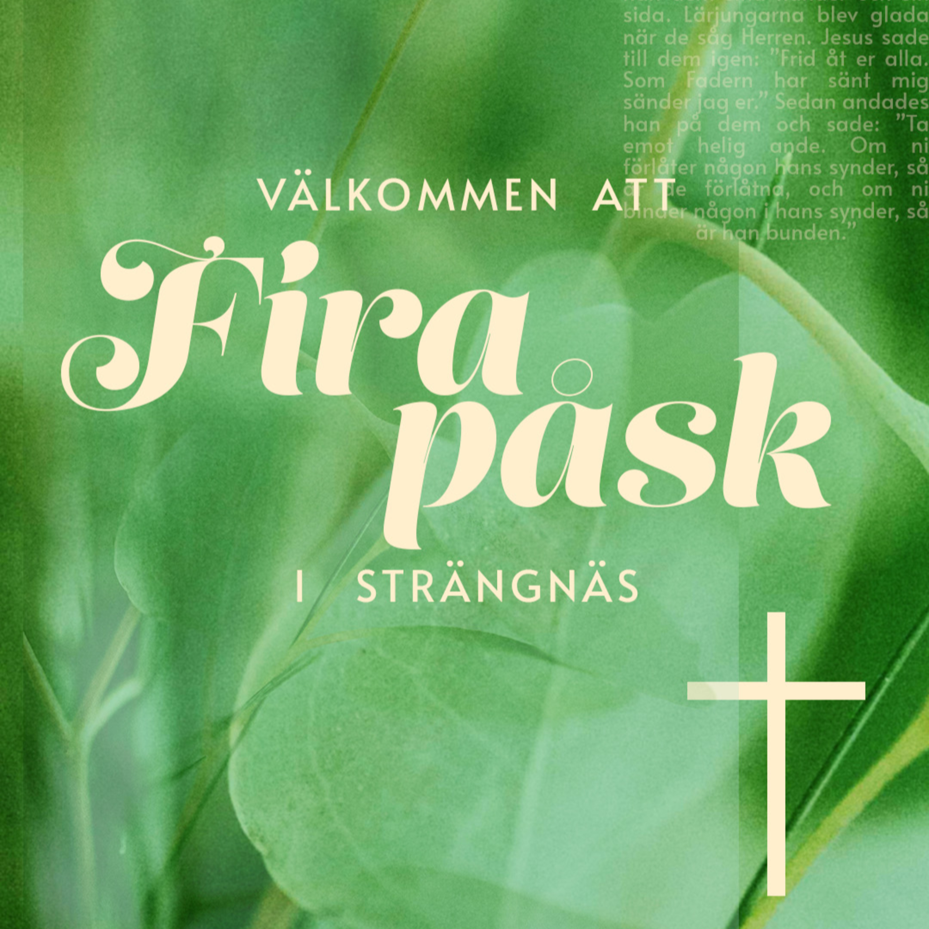 Olivehällkyrkan