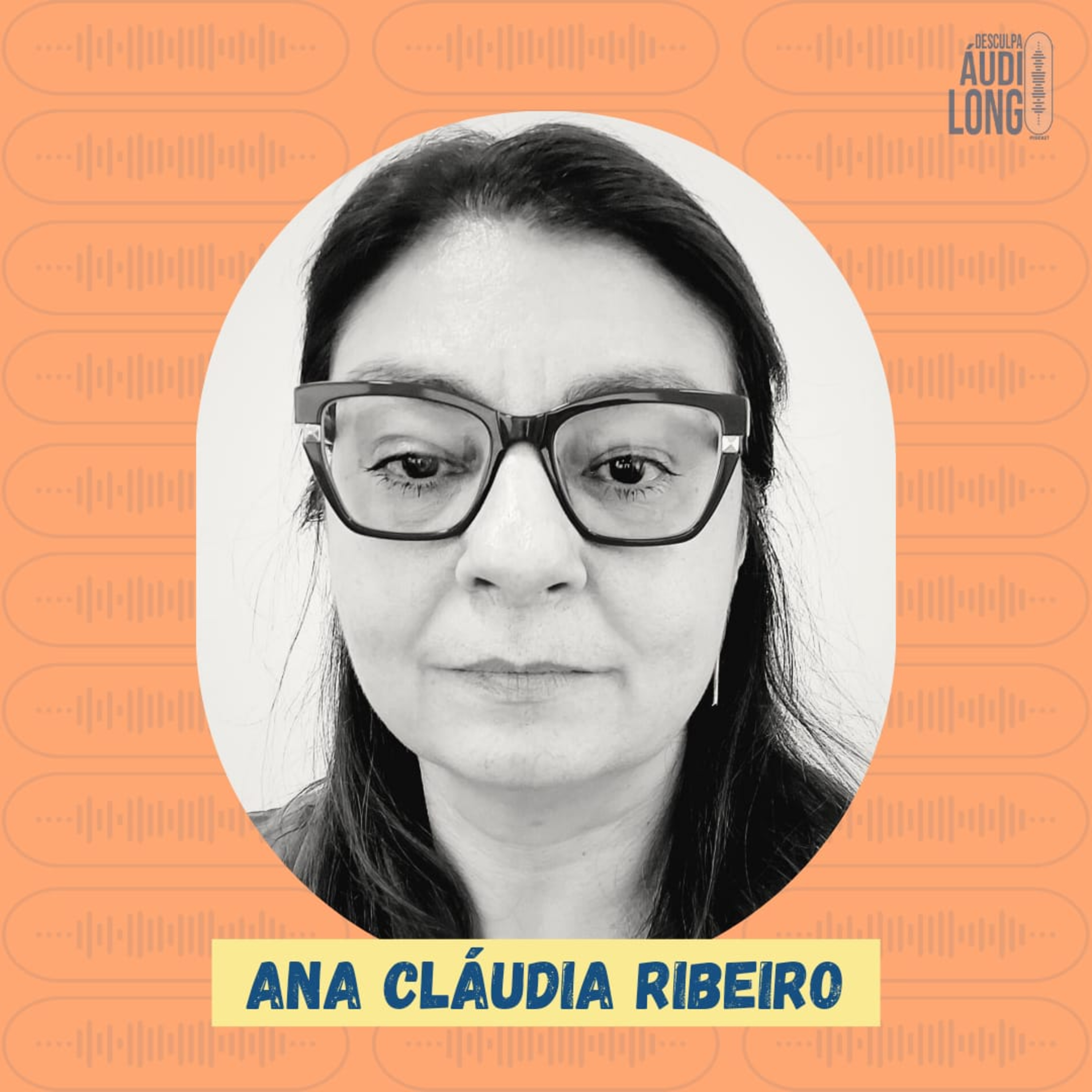 Desculpa o Áudio Longo