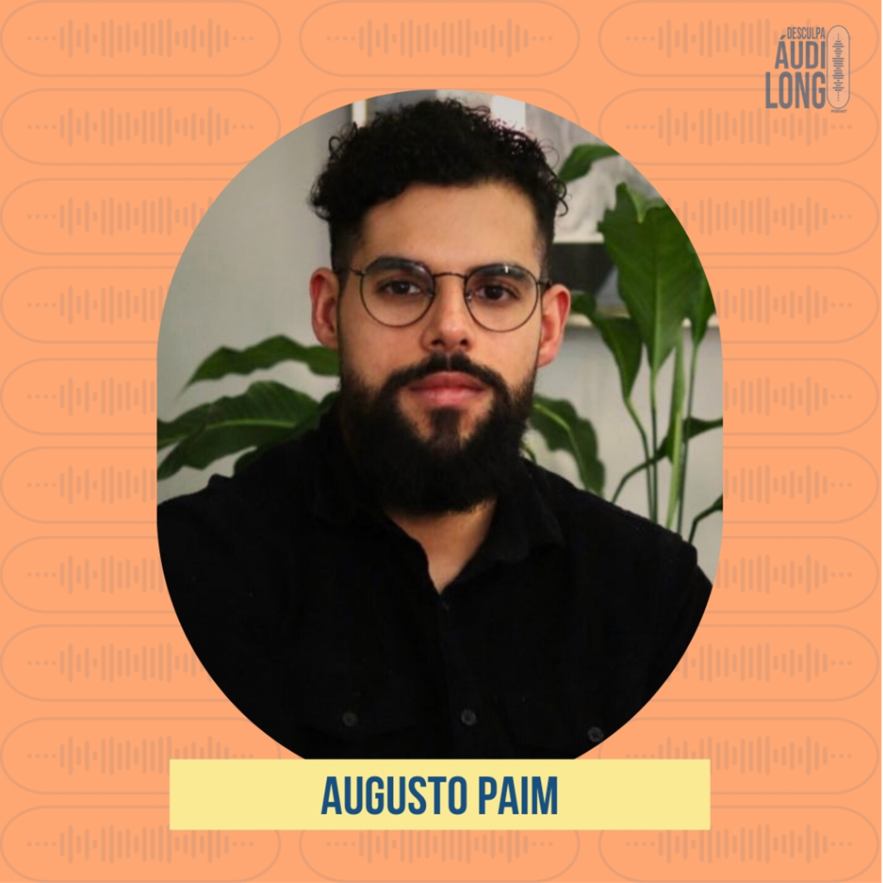 Desculpa o Áudio Longo
