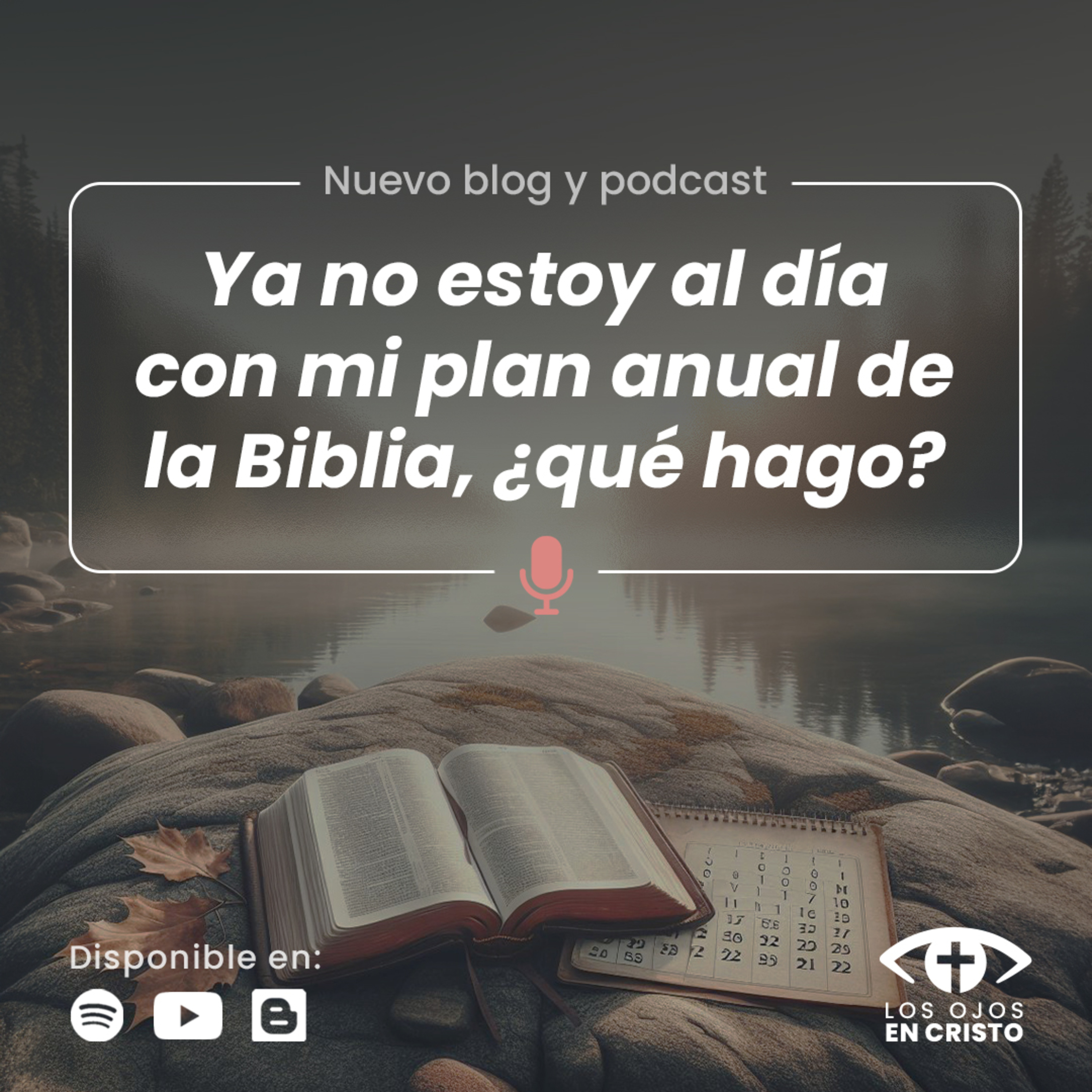 Los ojos en Cristo