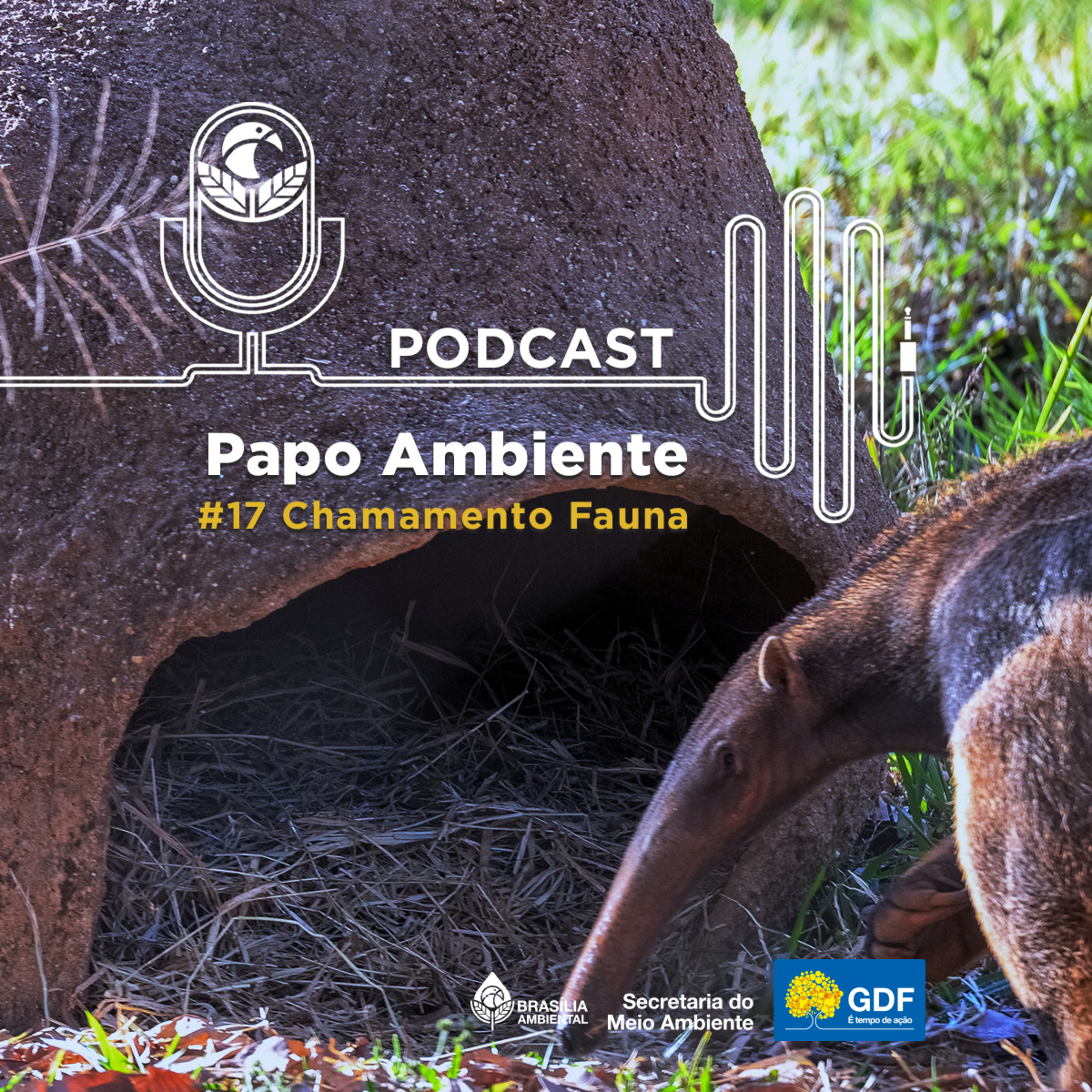 Papo Ambiente #17: Chamamento Fauna