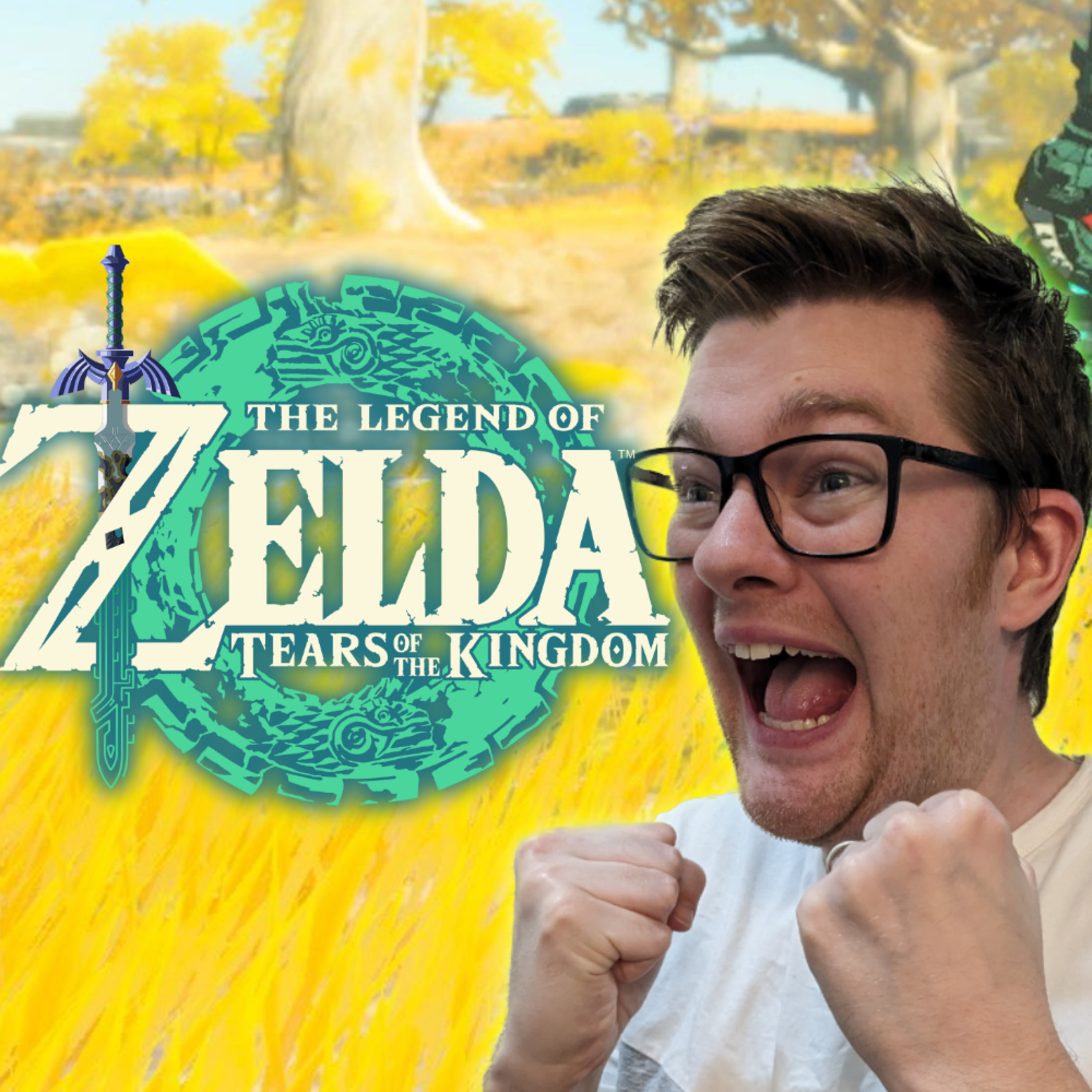 Nintendo Pals