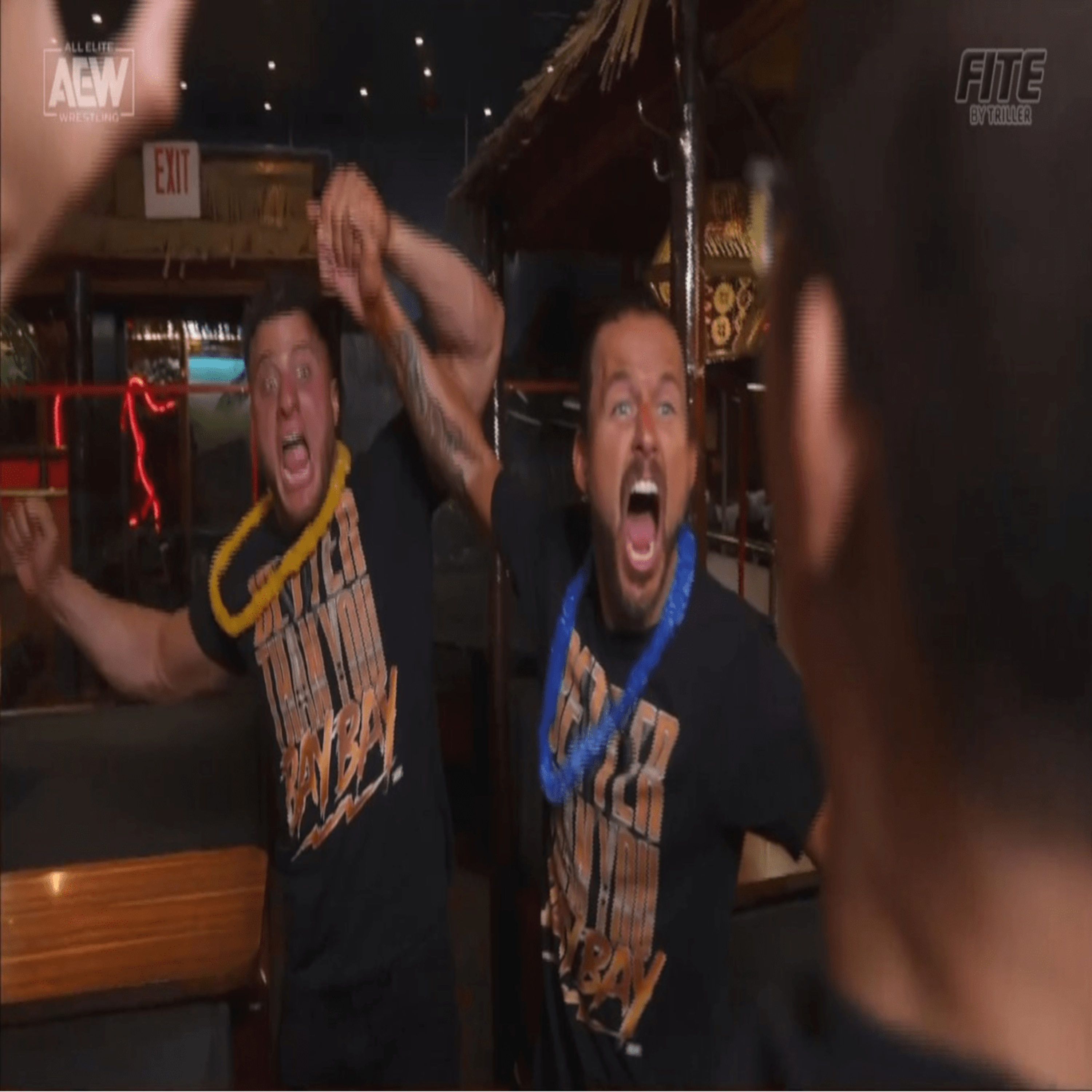 Blood & Destroyers: An All Elite Wrestling (AEW) Podcast