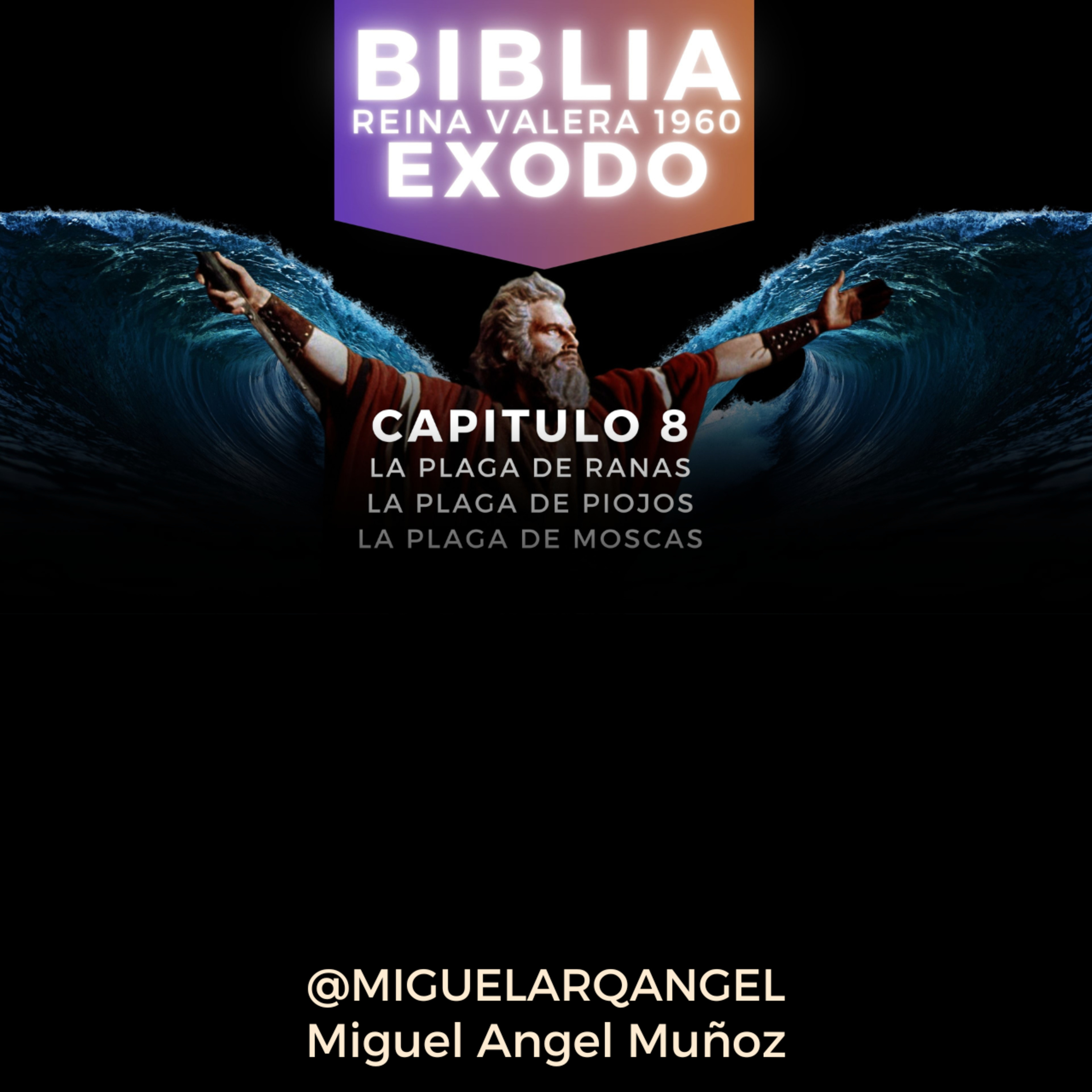 EXODO CAPITULO 8- Reina Valera 1960 episode artwork
