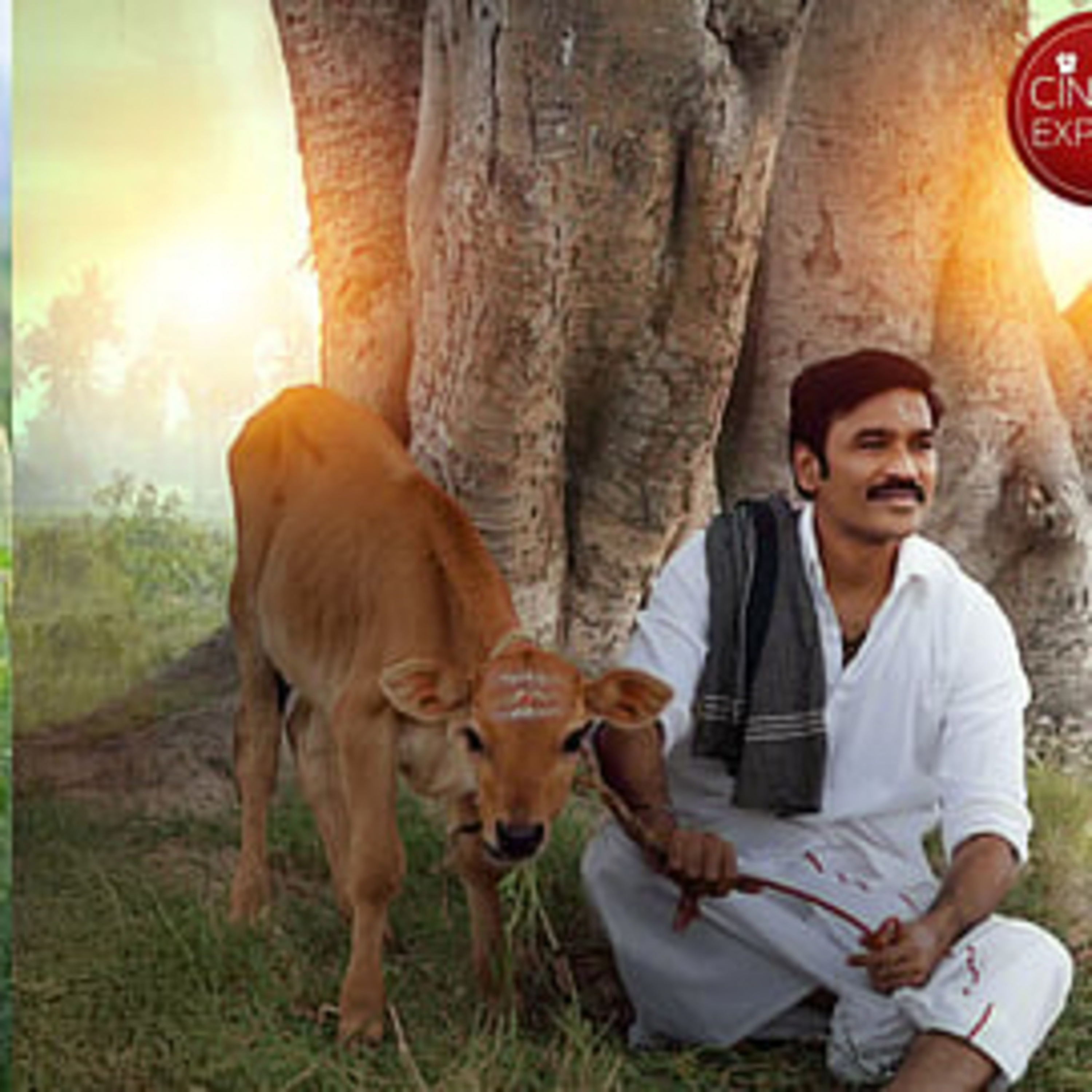 Idly Kadai - Movie 🎥 Review