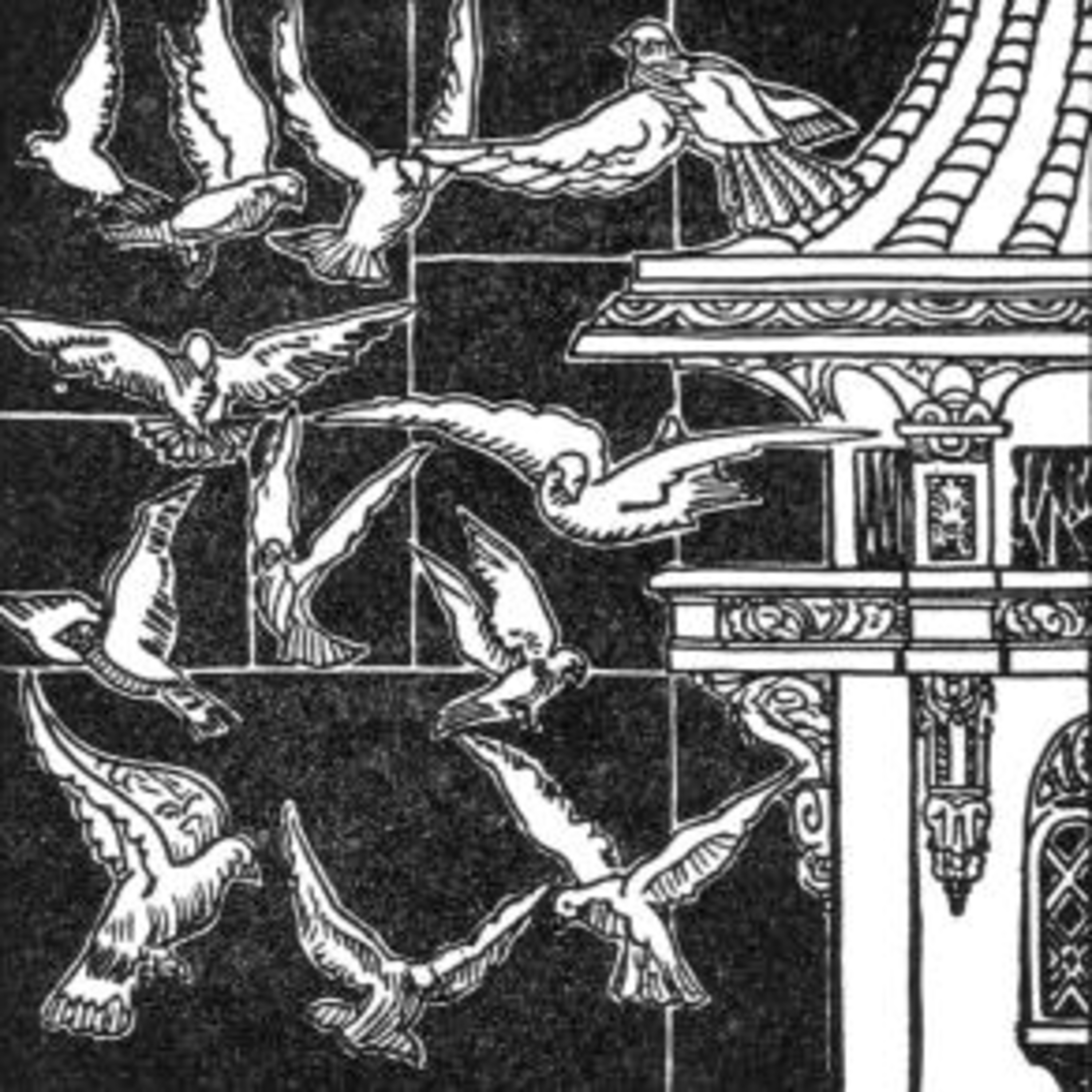 EP 350: The Pigeon’s Bride (Fillmore) episode artwork