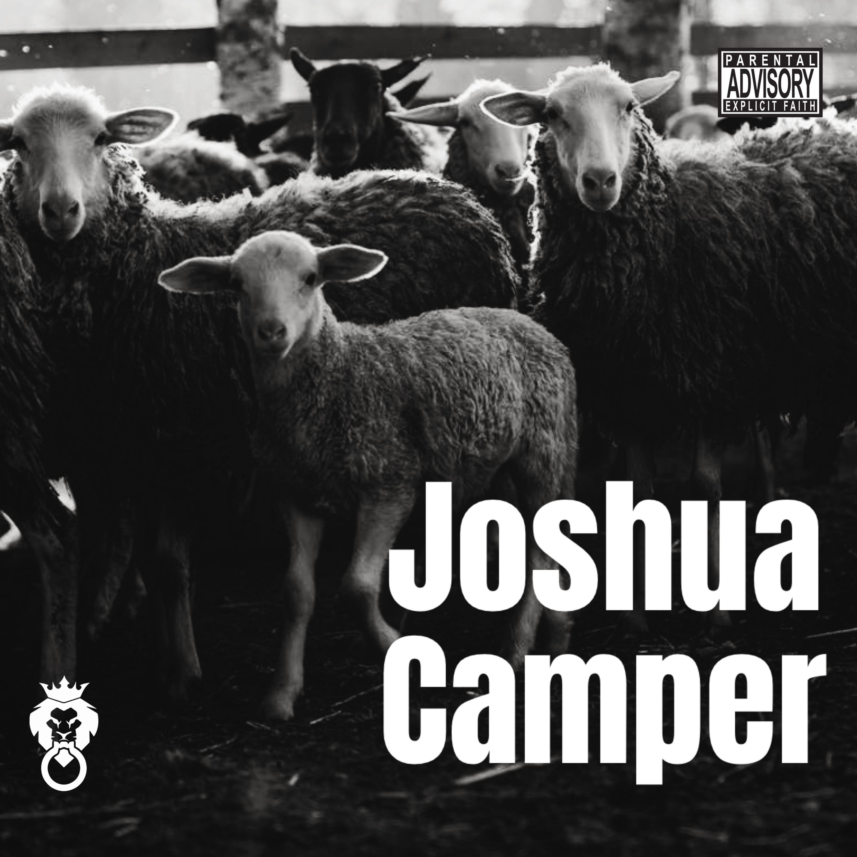 The Don’t Knock It Podcast