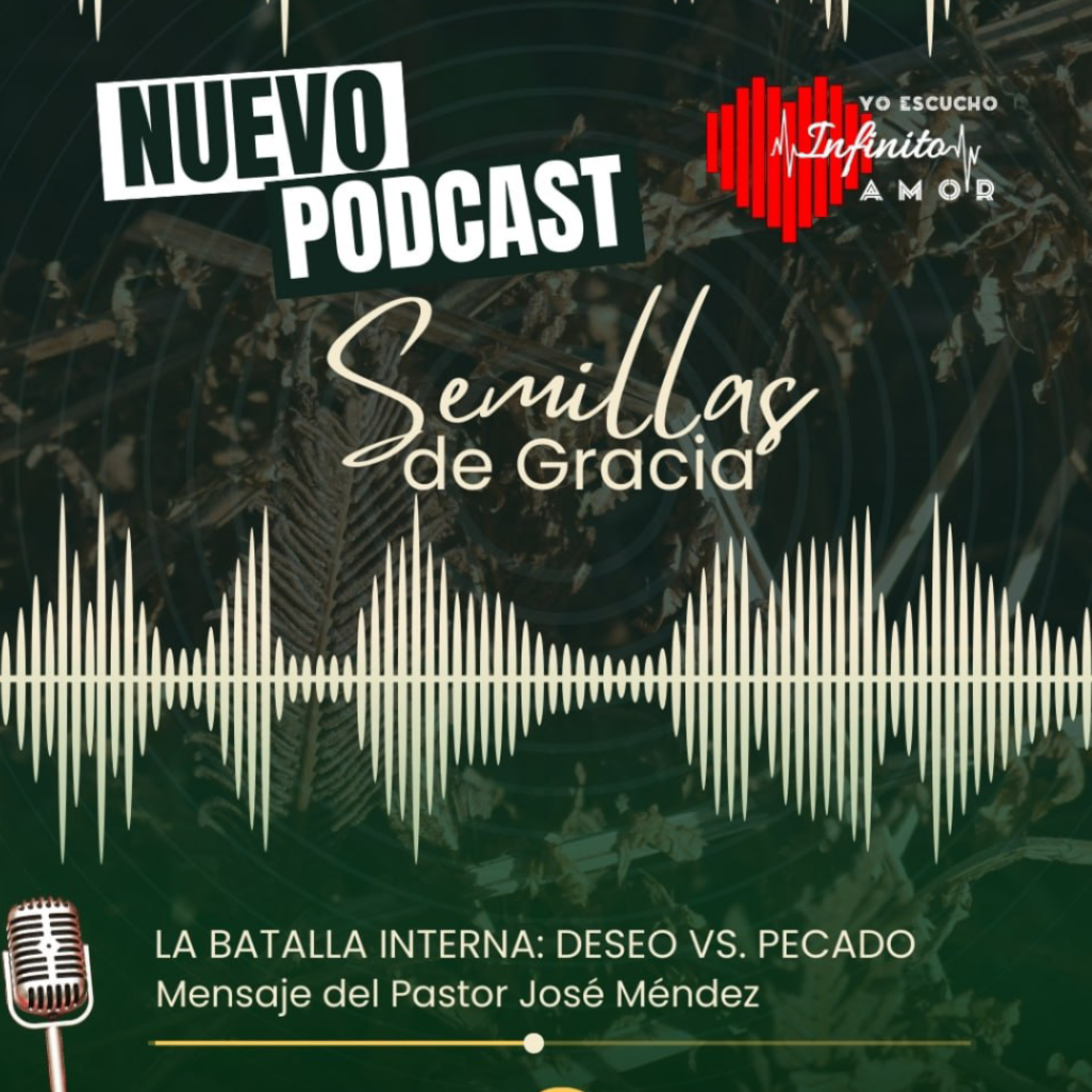 Portada de Conoce a Infinito Amor