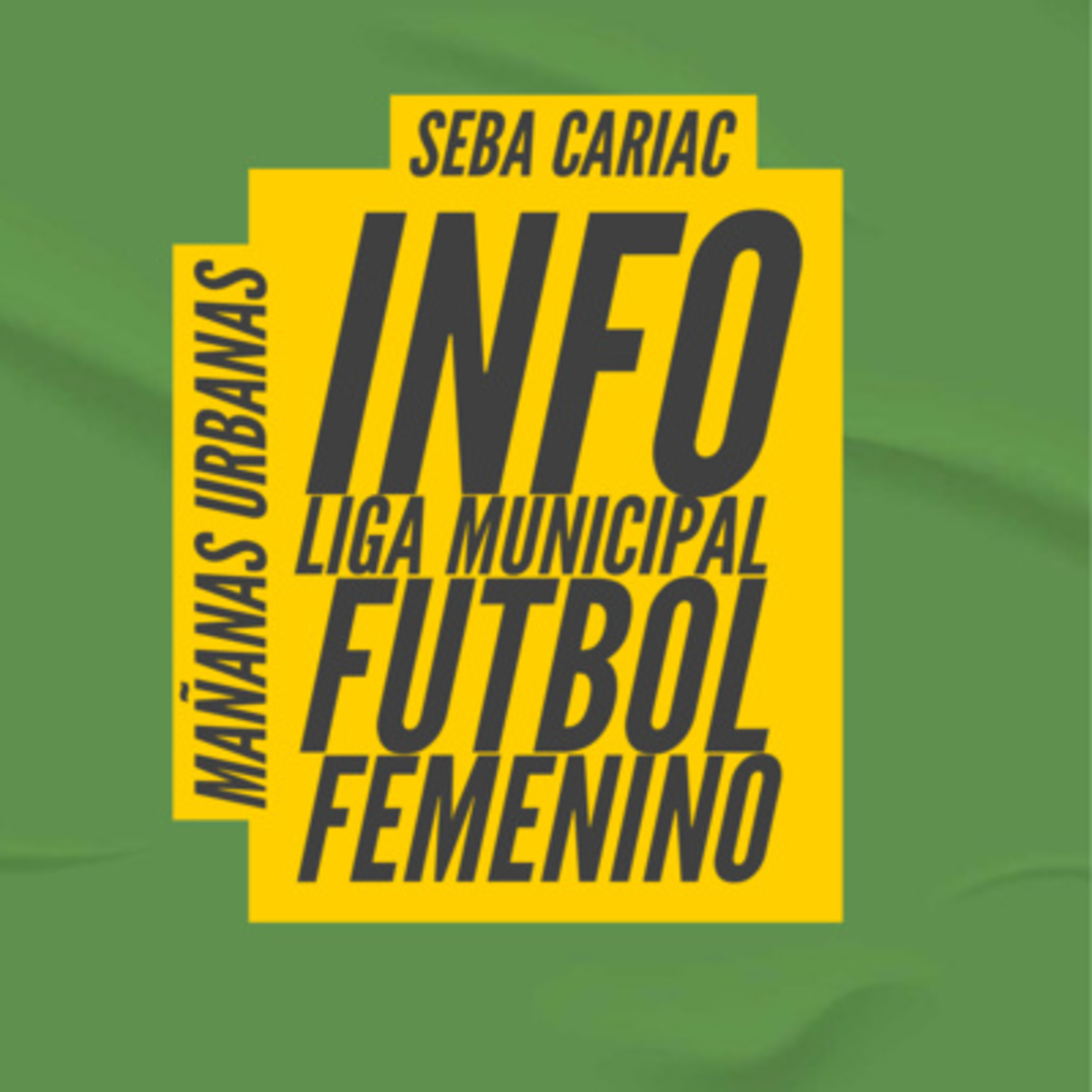 Info Fútbol Femenino - Liga Municipal - Lun 17-7 episode artwork