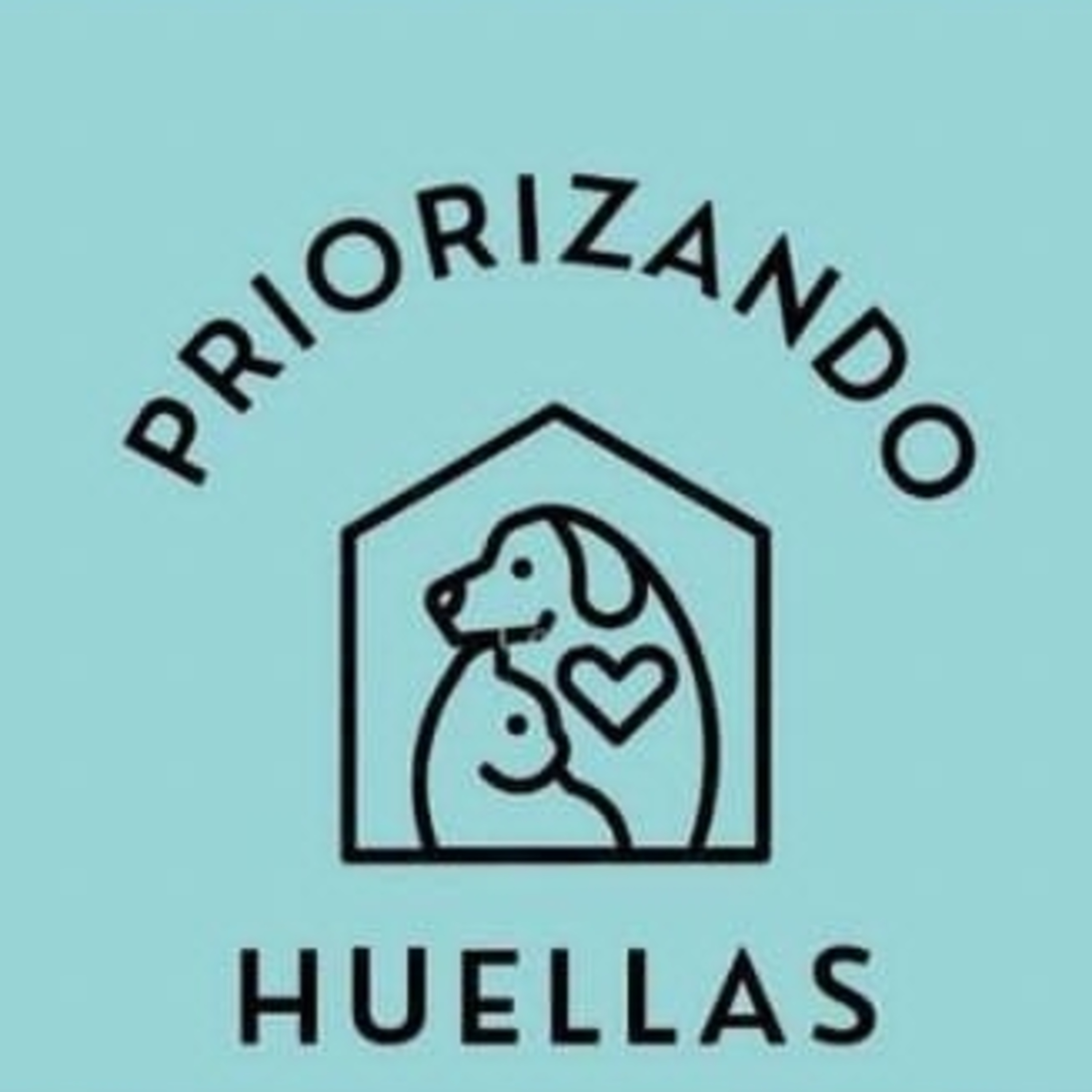Cinthia Bleile - Priorizando Huellas 