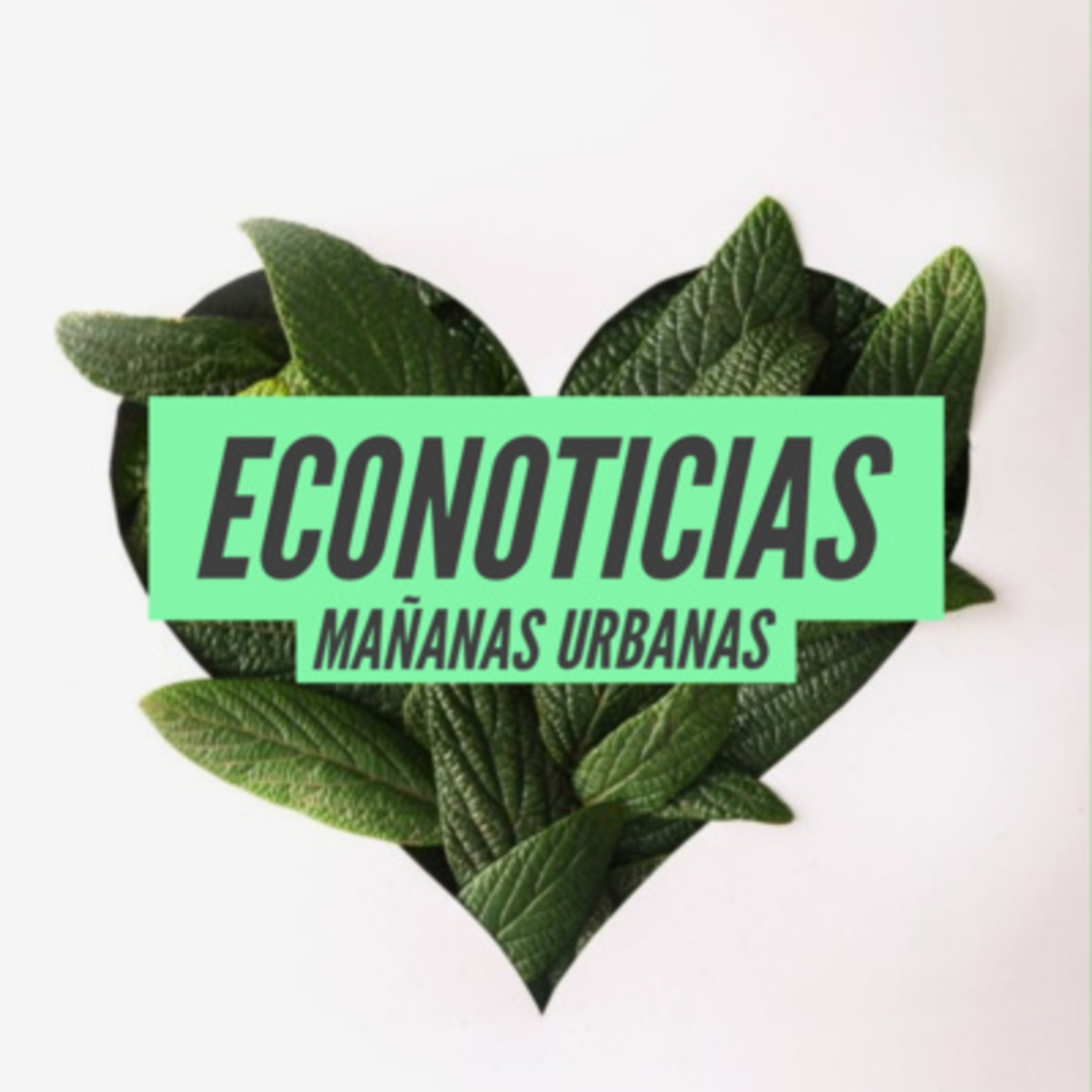 Econoticias - + DE 2 MIL LITROS DE AGUA PARA UNA HAMBURGUESA