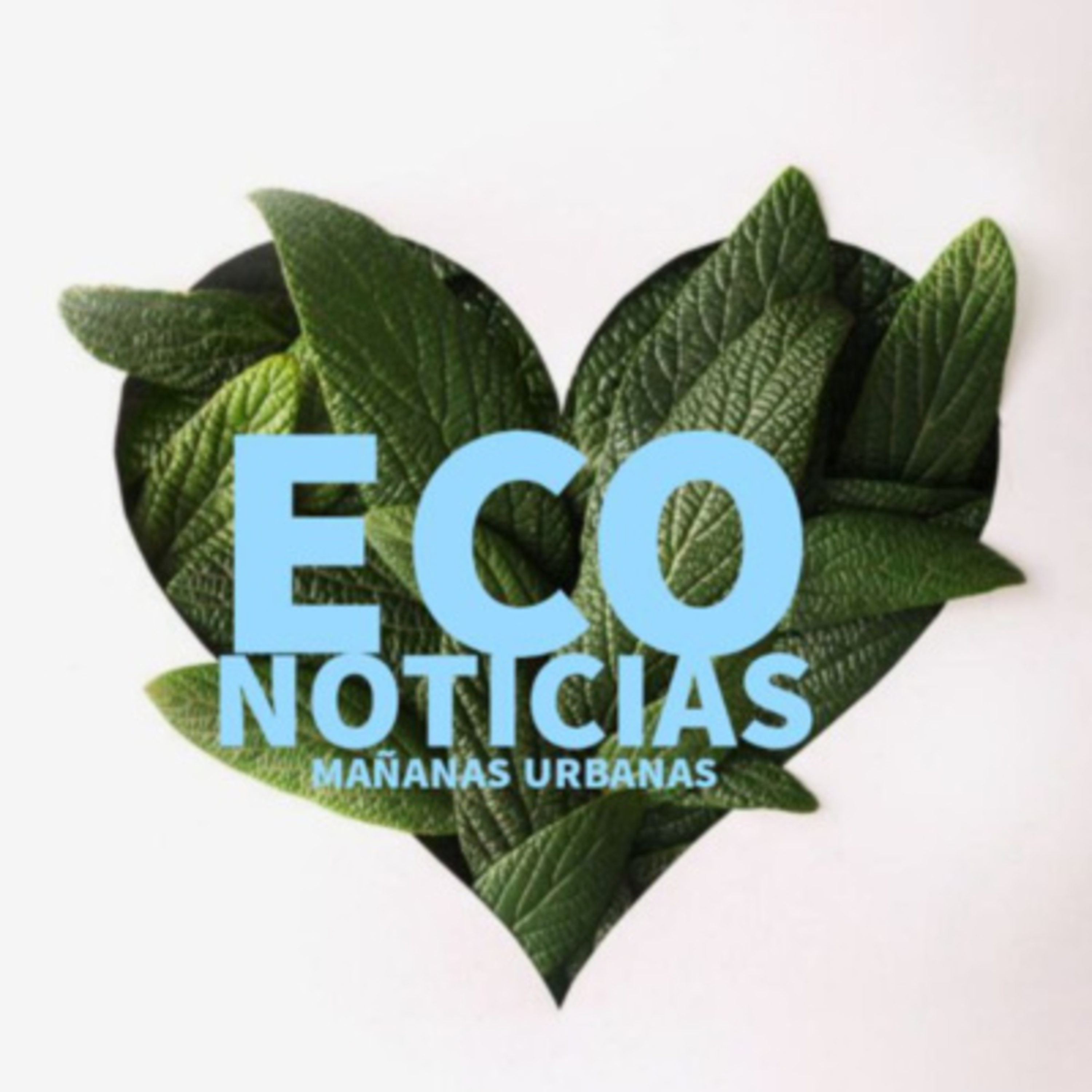 EcoNoticias - Alejandro Morici - Aves Migratorias en el partido de Puan episode artwork