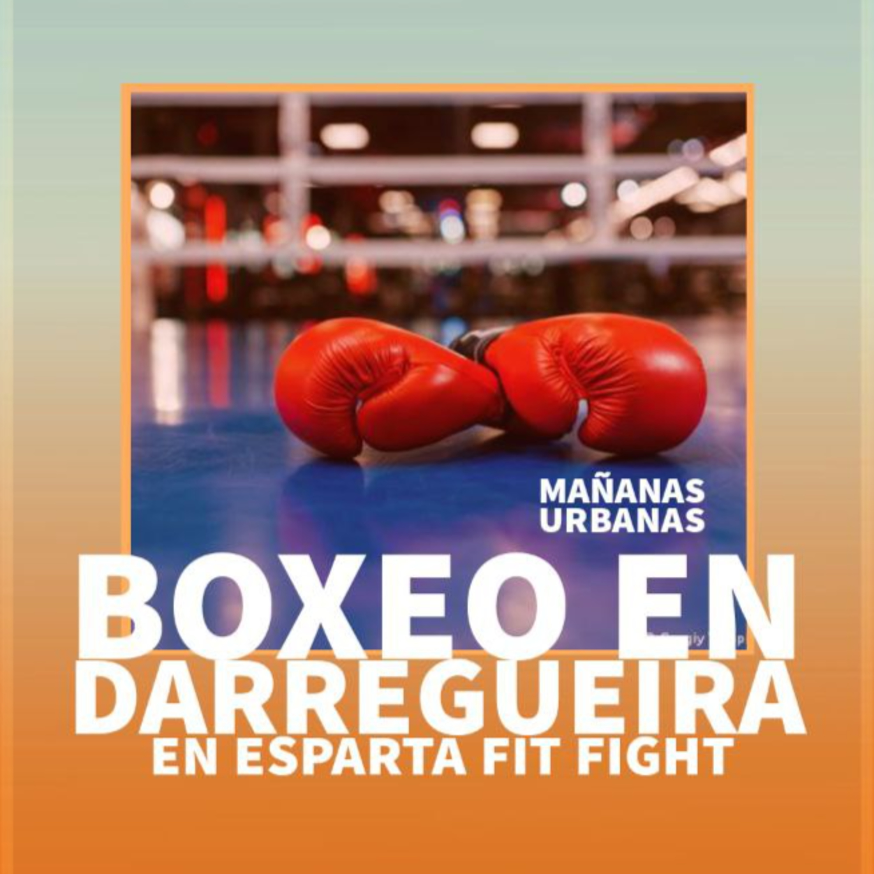 Boxeo en Esparta Fit Fight