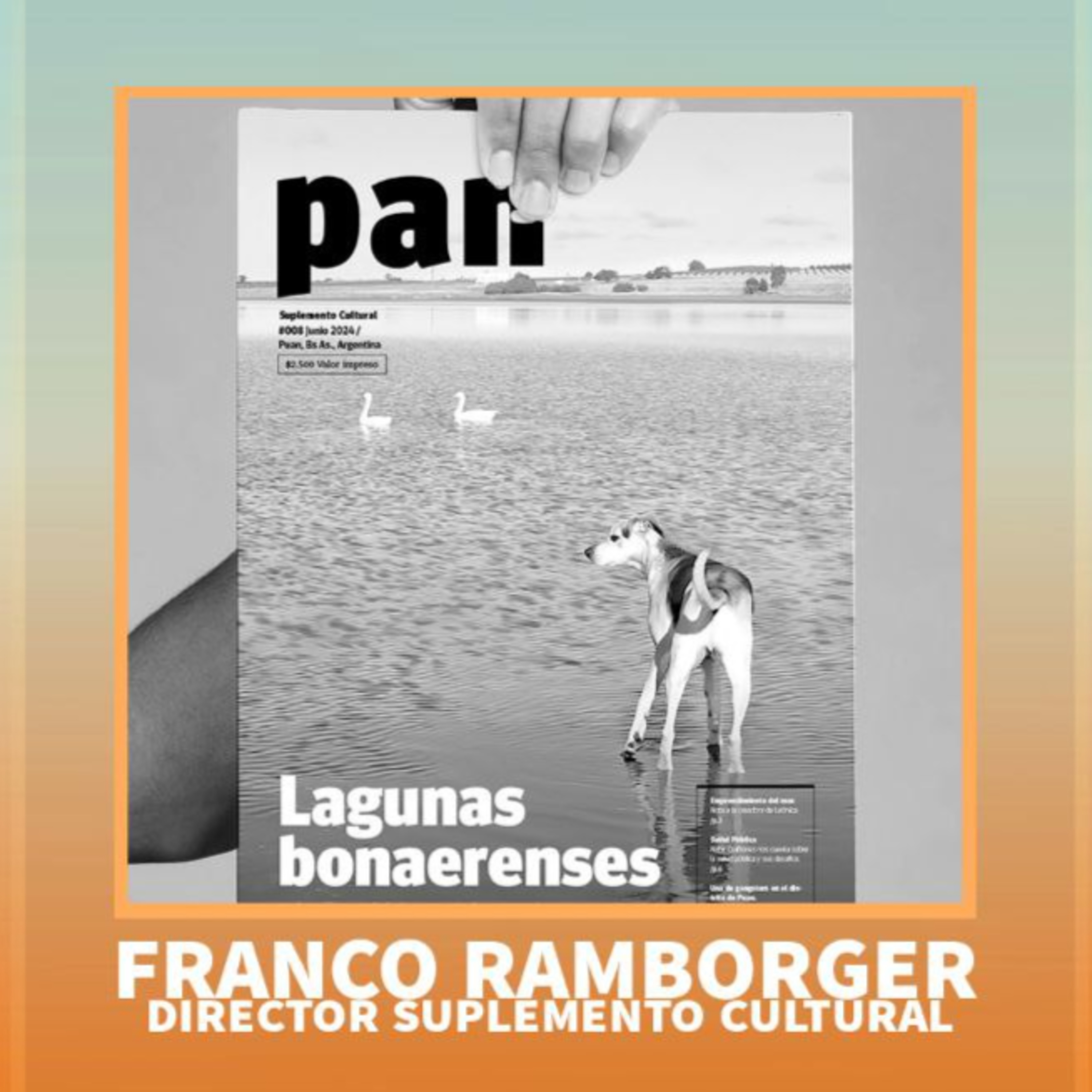 PAN - Nuevo Suplemento Cultural - Franco Ramborger  episode artwork
