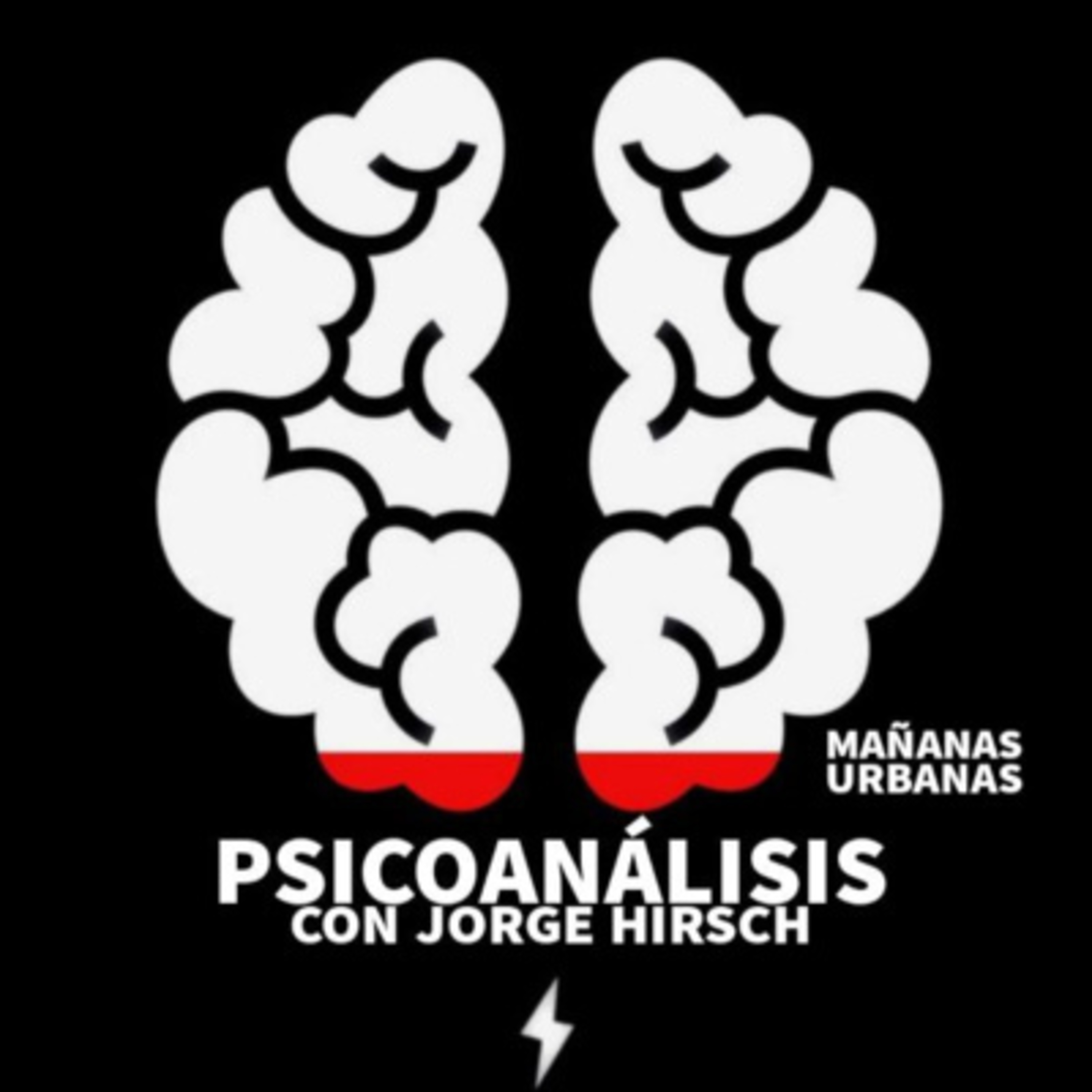 Psicoanálisis - El Fracaso