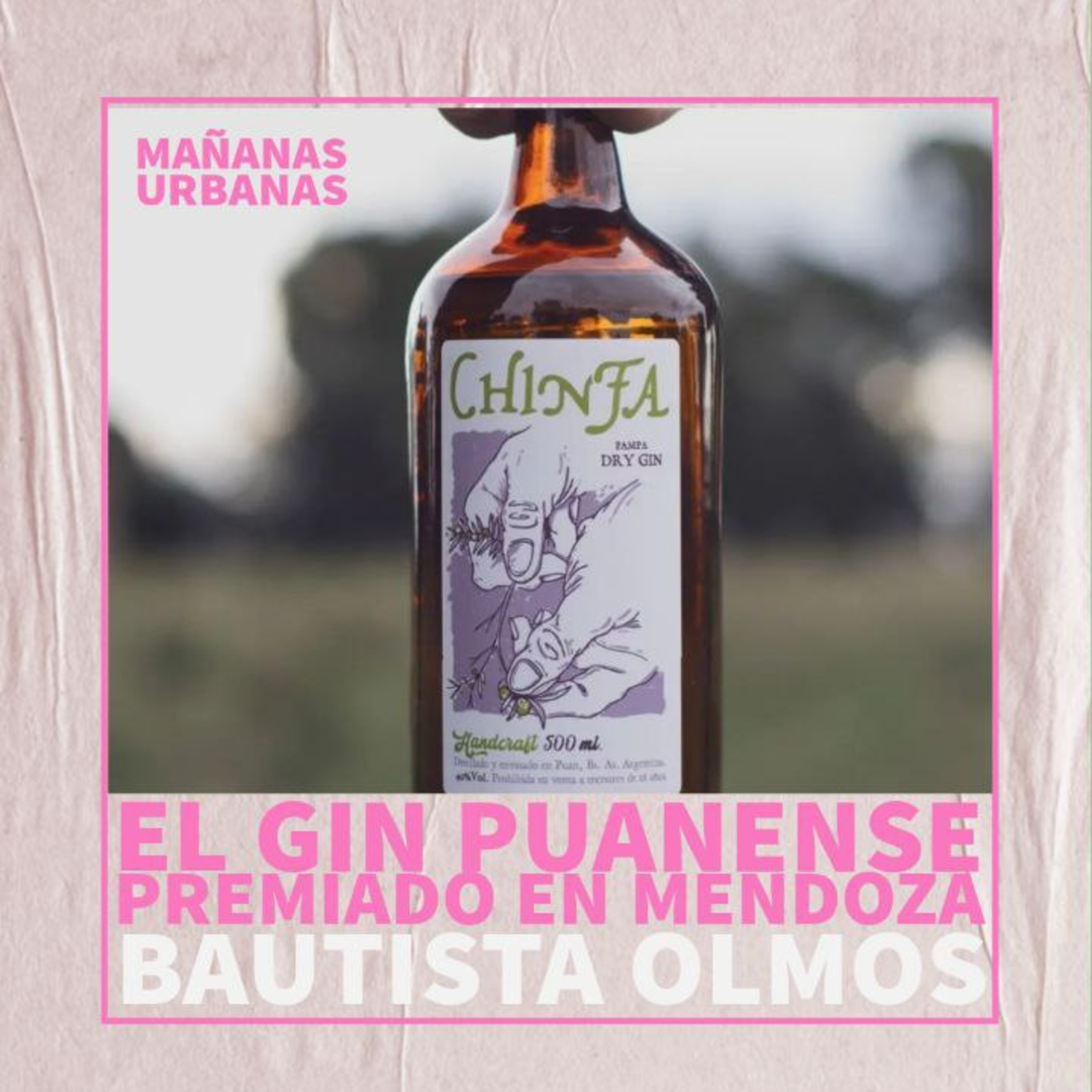 Bautista Olmos - Creador del Gin Puanense episode artwork