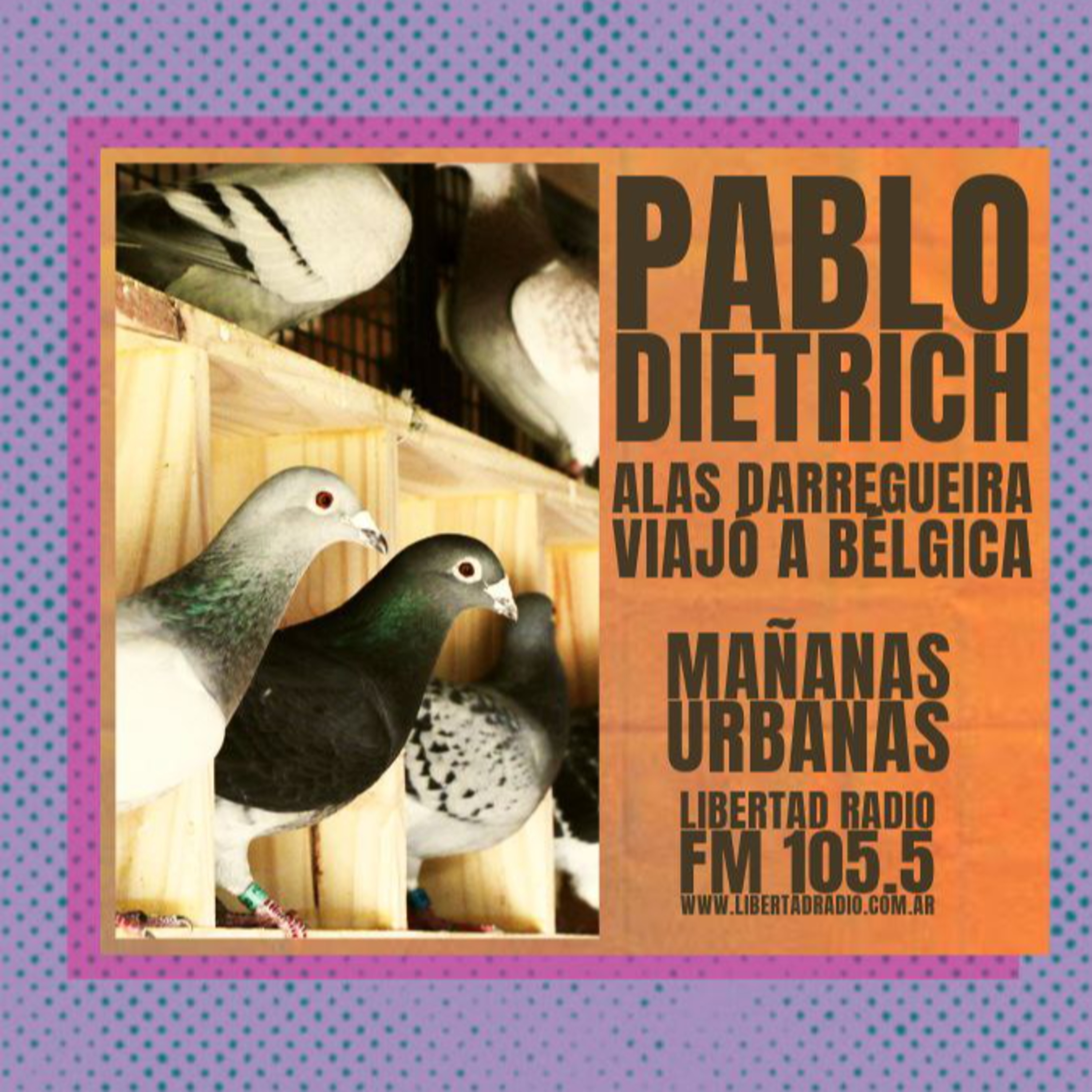 Pablo Dietrich - Alas Darregueira viajó a Bélgica episode artwork