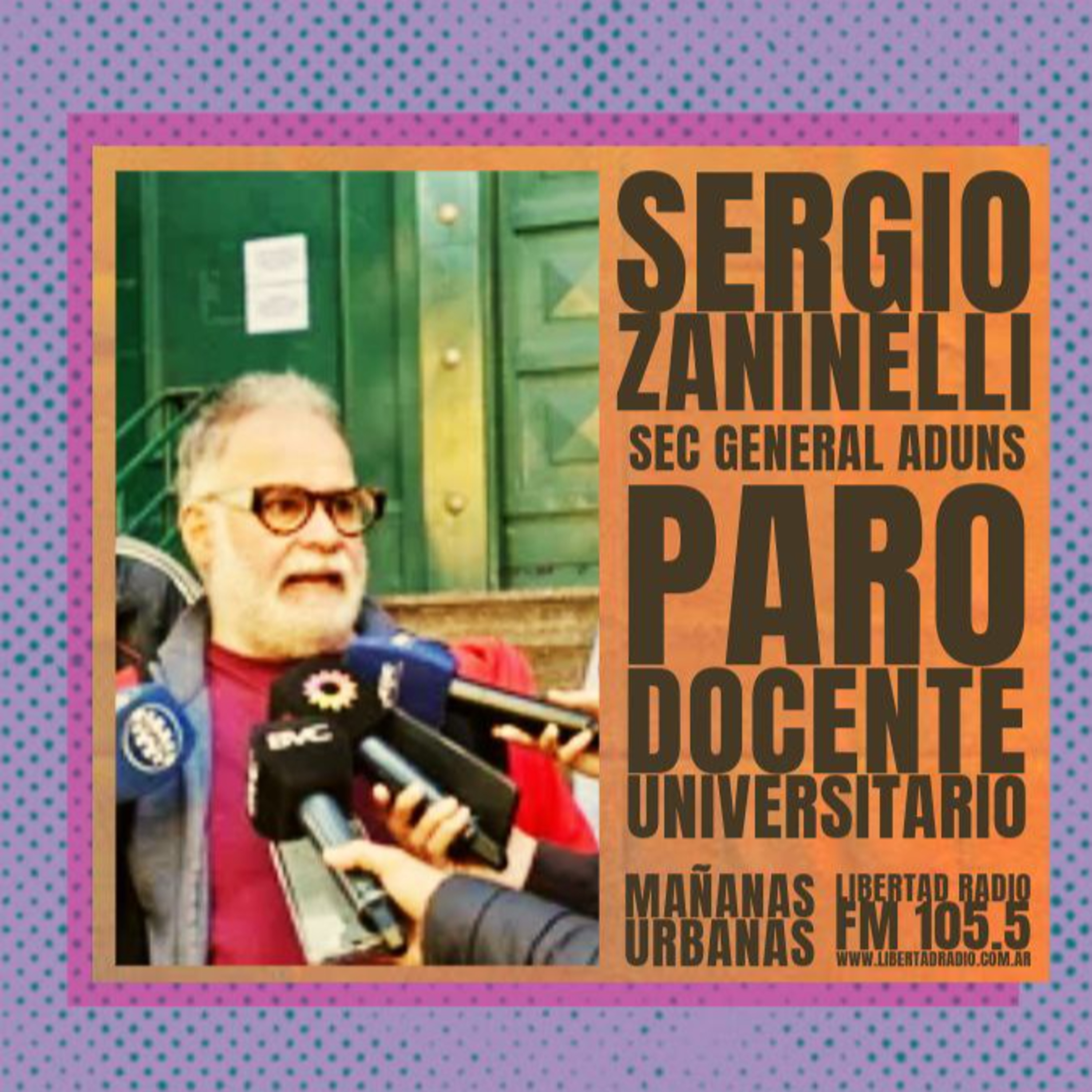 Sergio Zaninelli - Paro docente universitario episode artwork