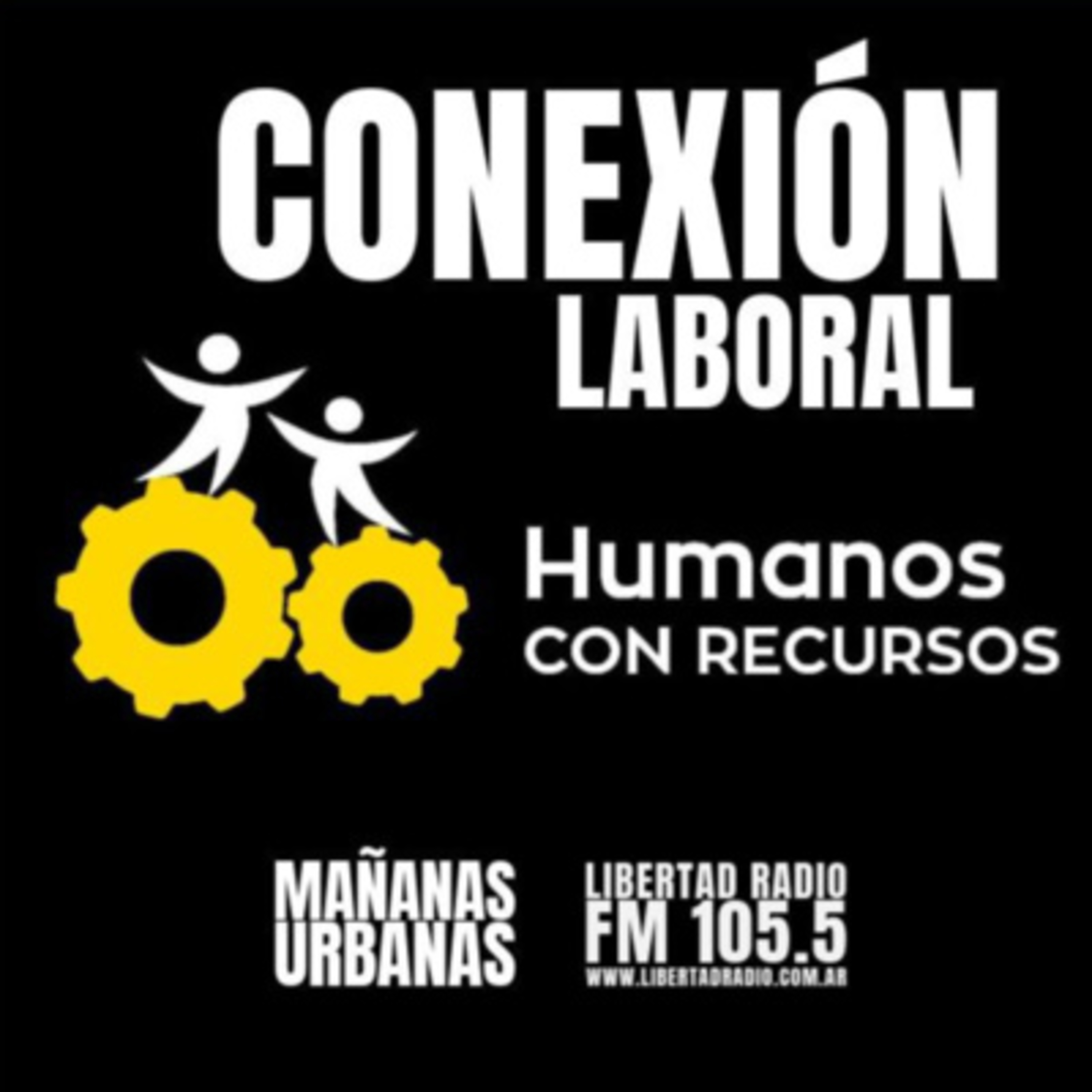 Conexión Laboral - Profesionalización de los puestos en las pymes  episode artwork