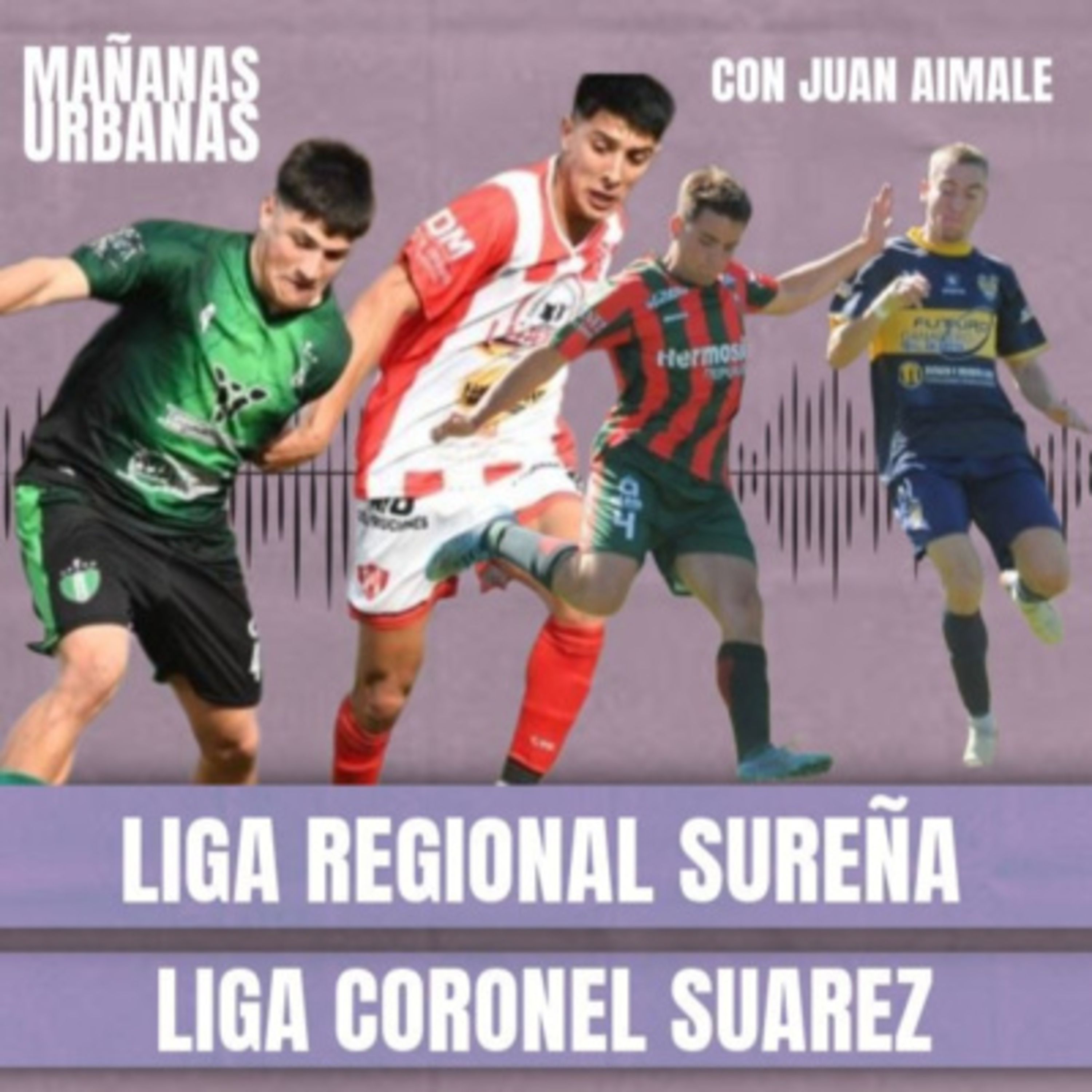 Liga regional sureña + Fútbol Femenino + Senior + Liga Coronel Suarez  episode artwork