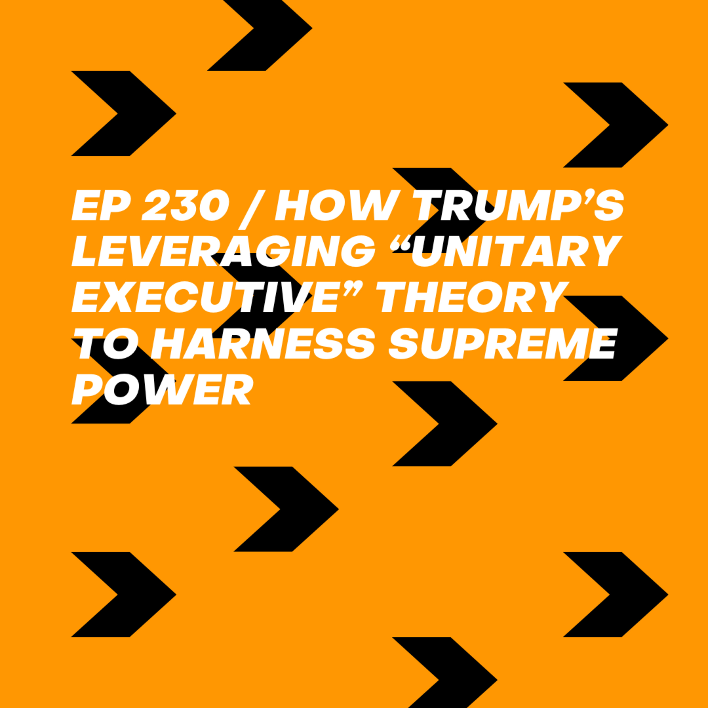 How Trump’s Leveraging “Unitary Executive” Theory to Harness Supreme Power episode artwork