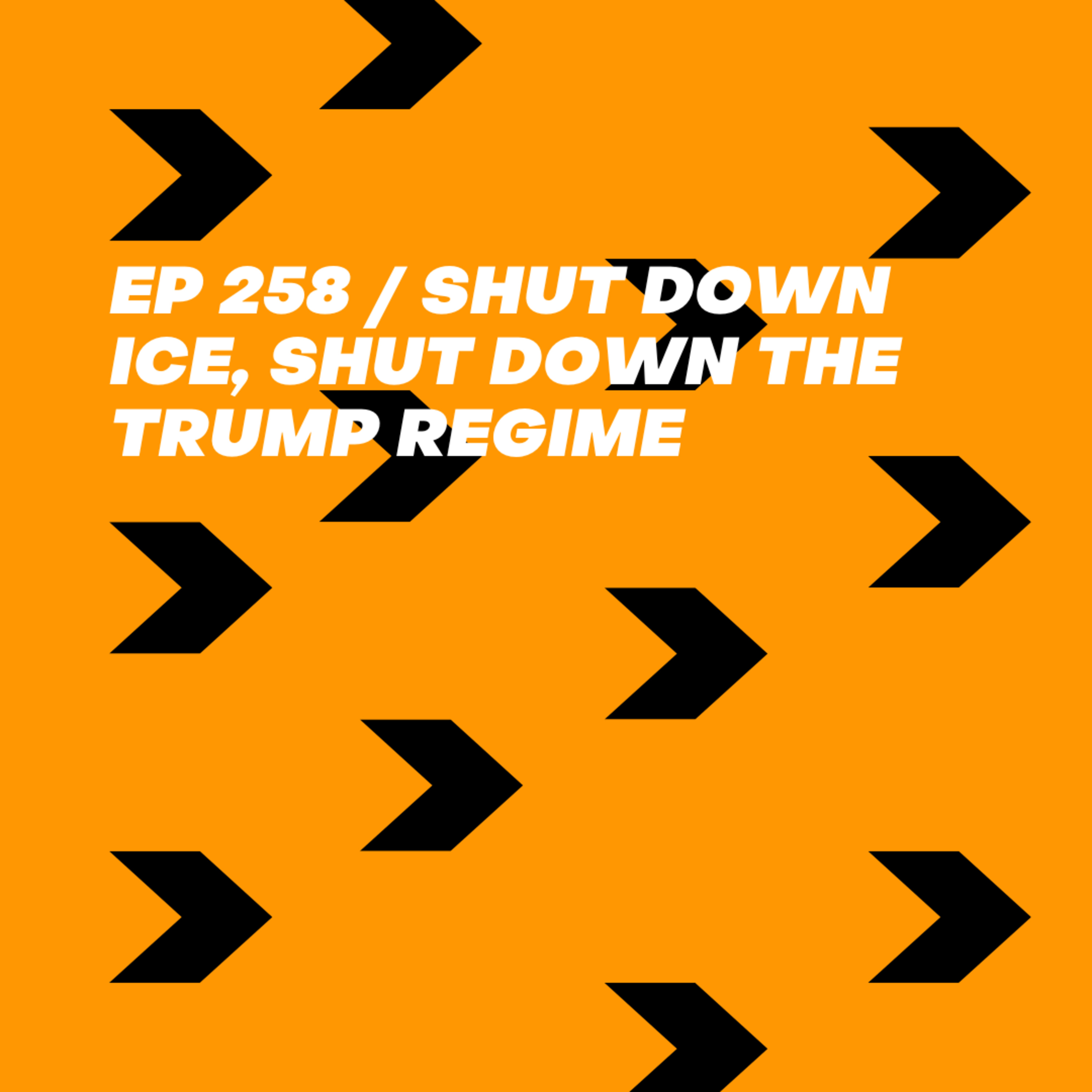 Shut Down ICE, Shut Down the Trump Regime