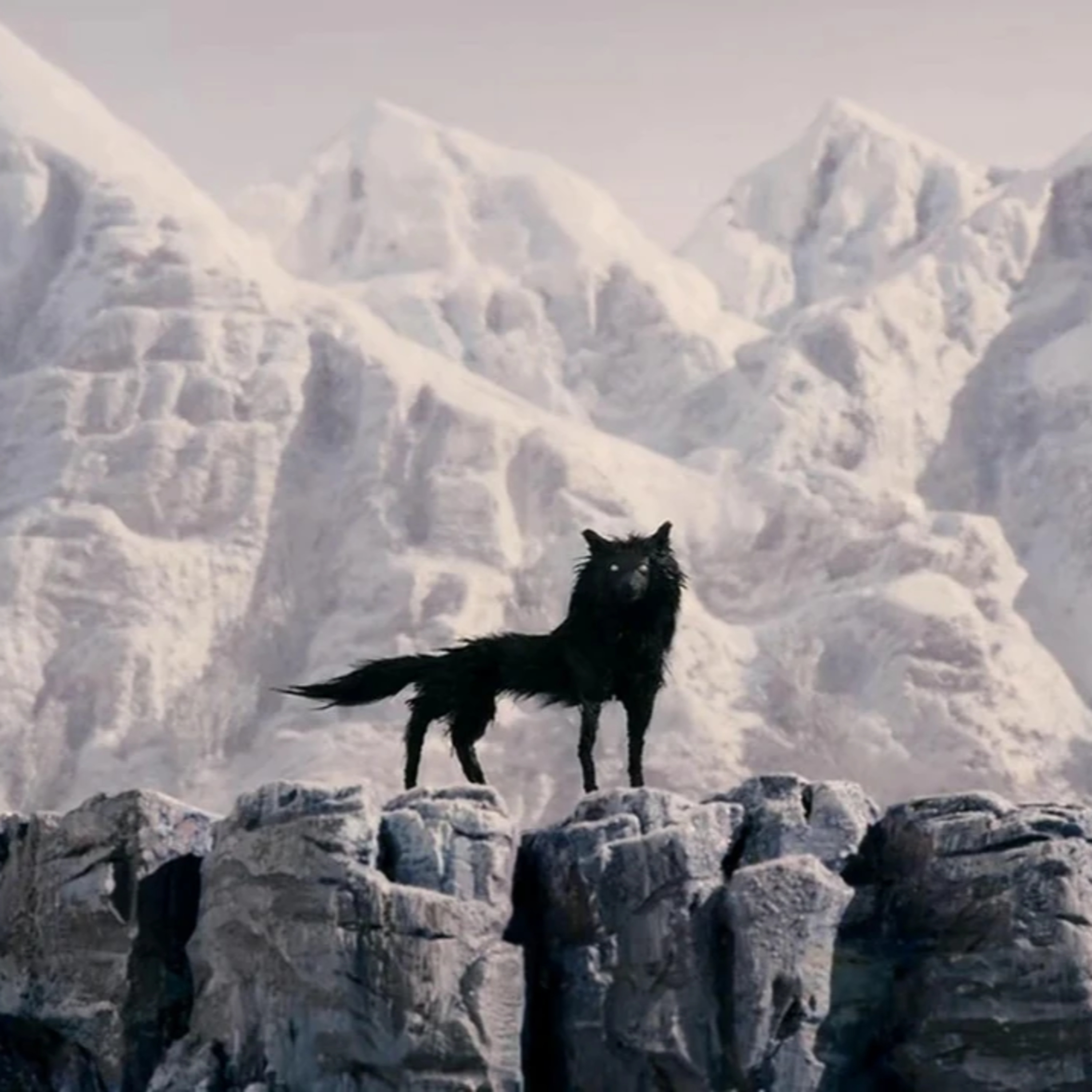 Everyone, everyone, everyone, everyone: Fantastic Mr. Fox episode artwork