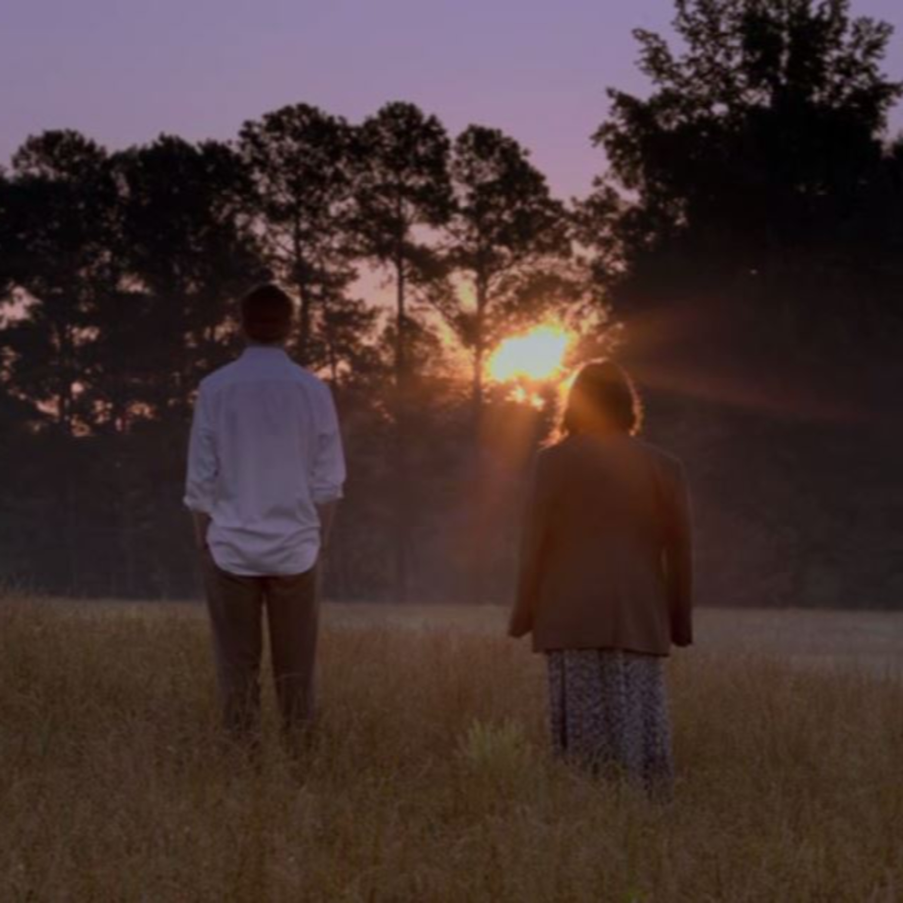 L'Unico Occhio dell'Uomo: Rectify