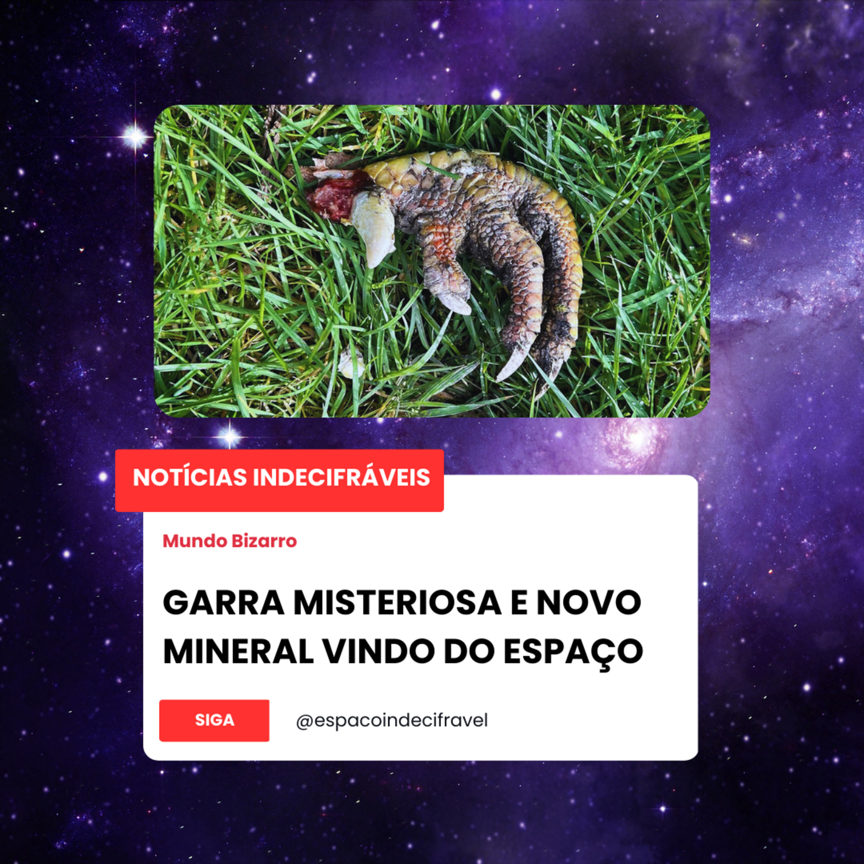  [NI] 8#Garras misteriosas e novo mineral vindo do espaço! episode artwork