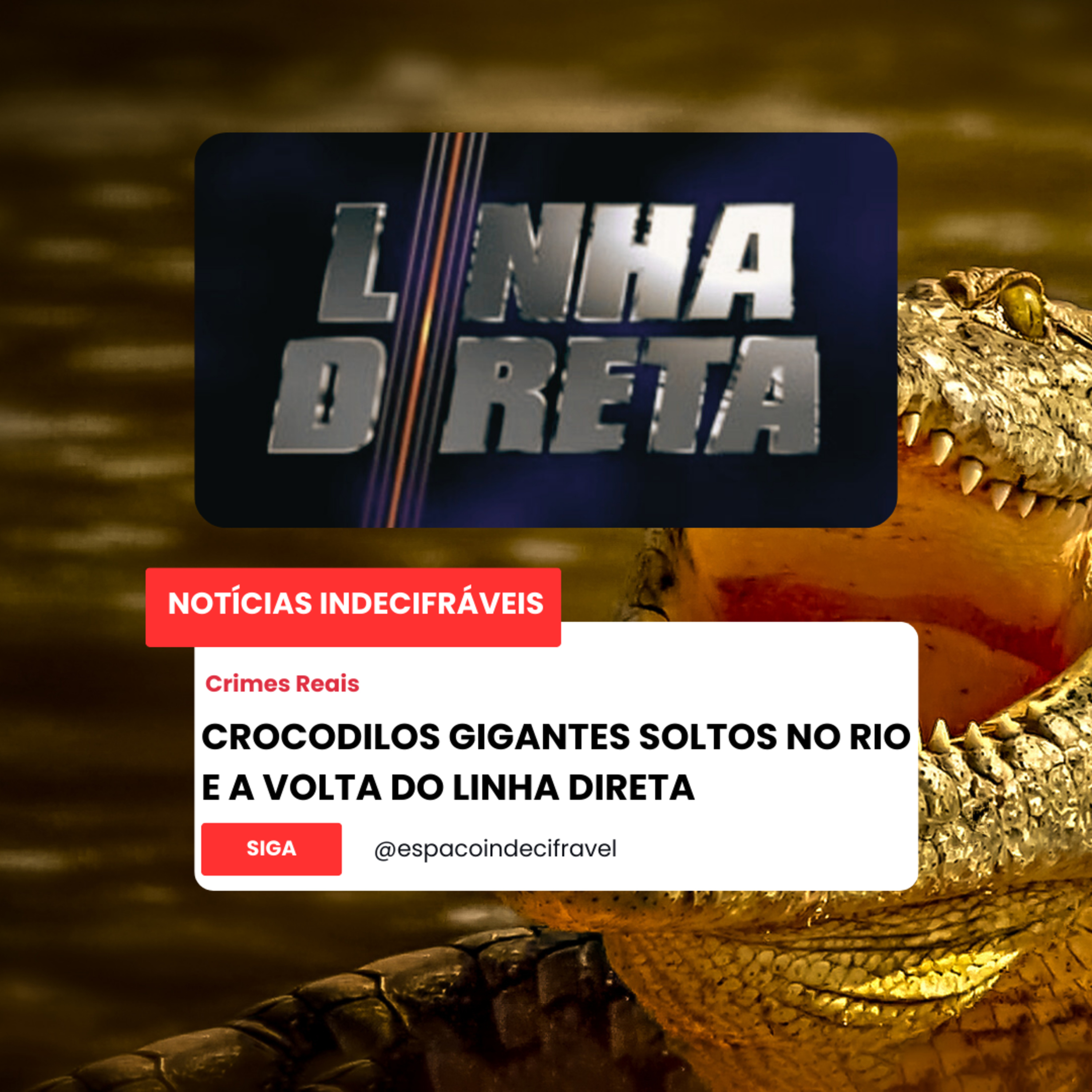  [NI] 11# Crocodilos Gigantes Soltos no Rio e a Volta do Linha Direta episode artwork