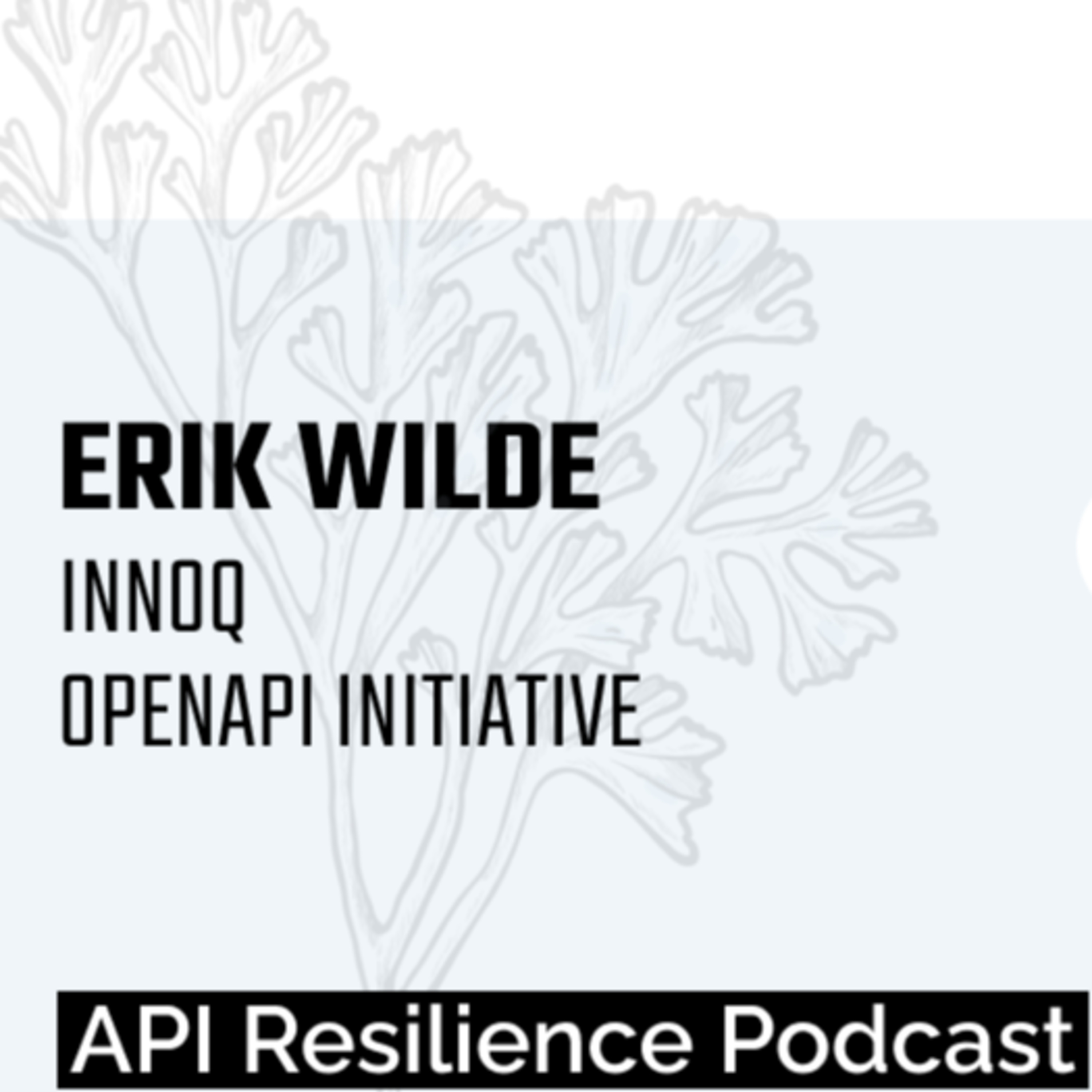 APIs in the Age of Agents: Standards, Security & Scale - Discussion with Erik Wilde