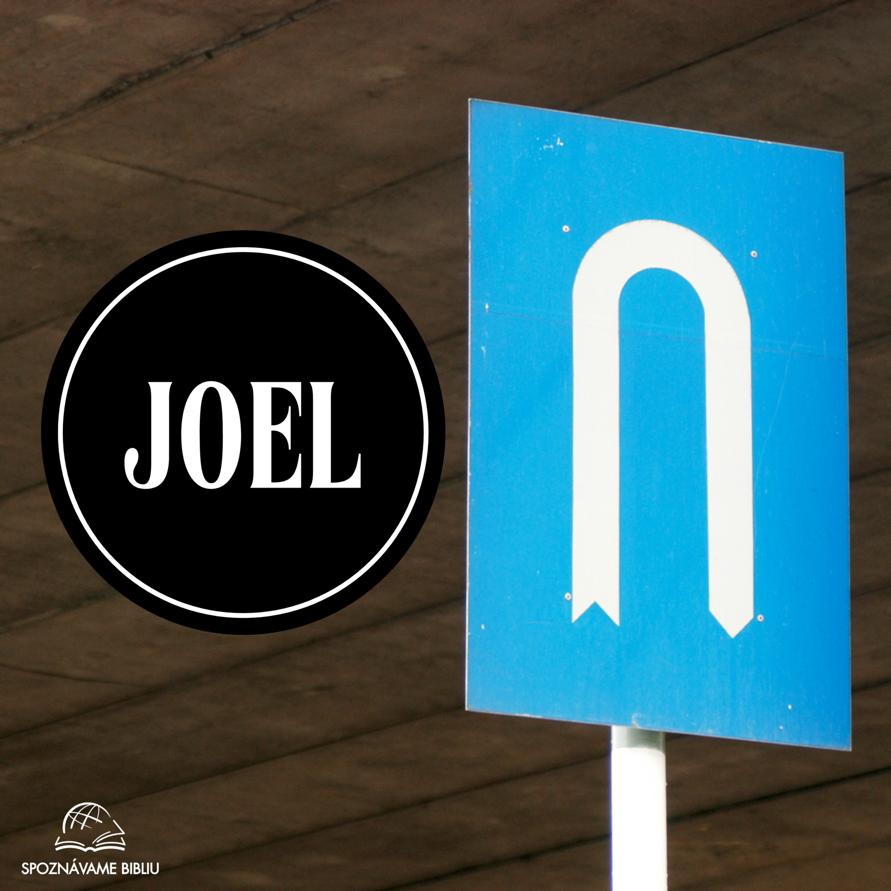 01 Joel Intro-1,3 episode artwork