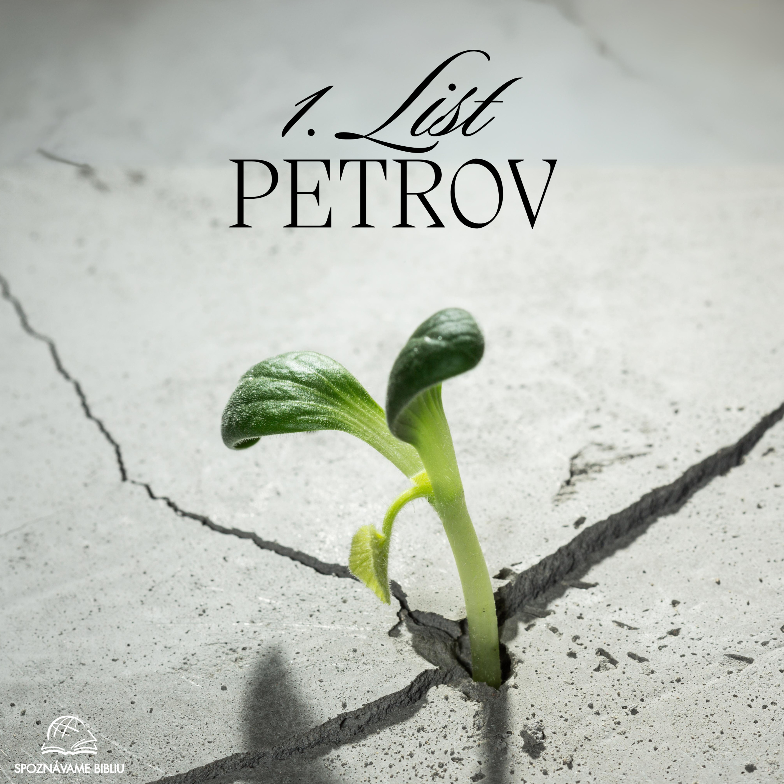 11 Prvý Petrov 3,8-22