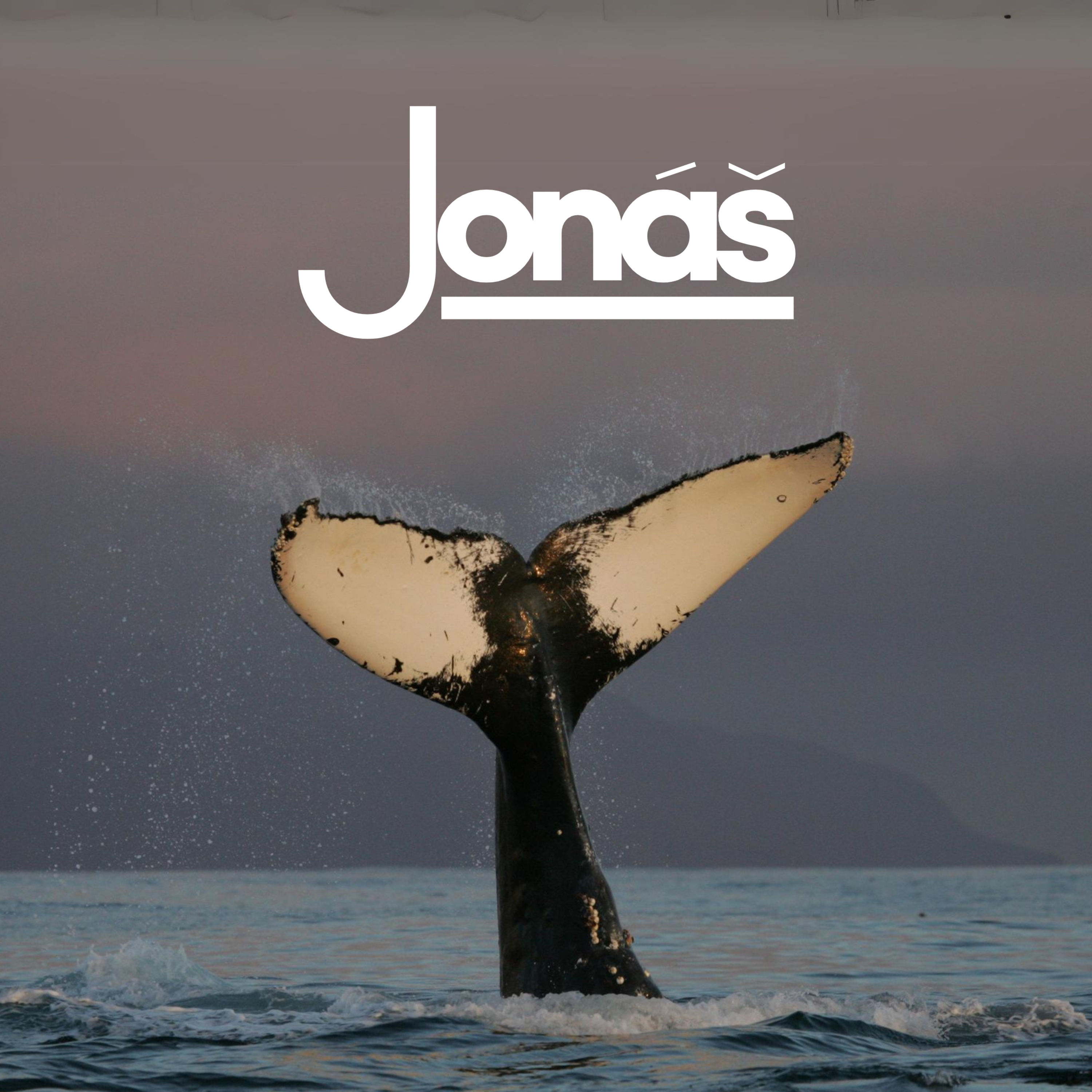 11 Jonáš 4,1-11 episode artwork
