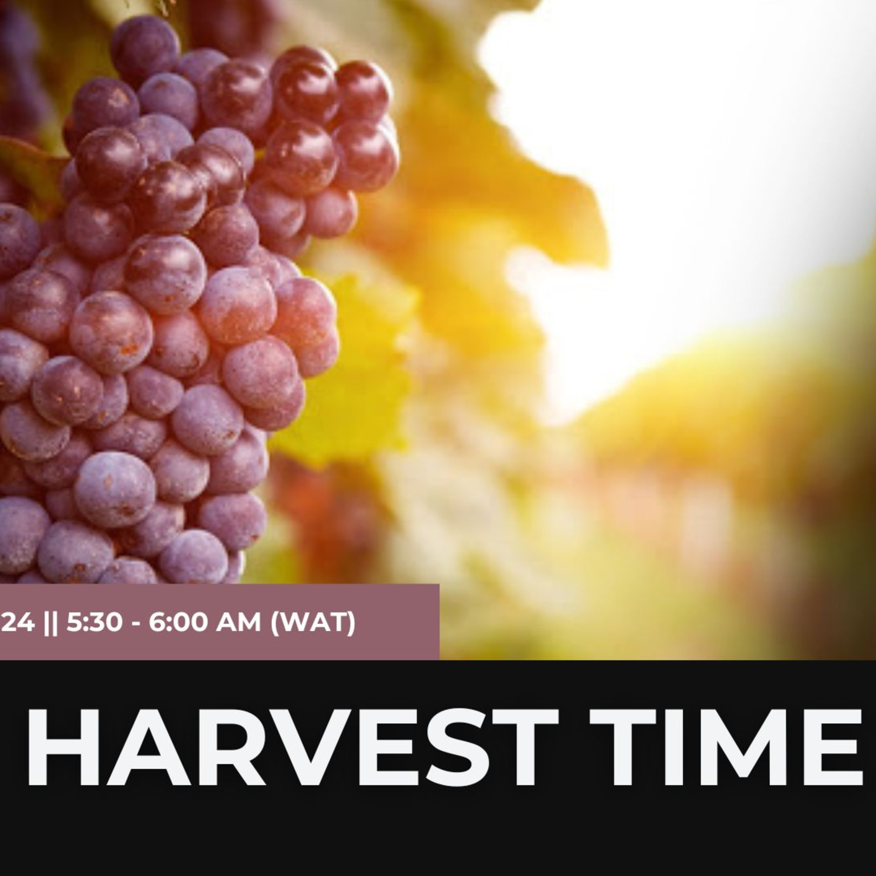 Harvest is Here! episode artwork