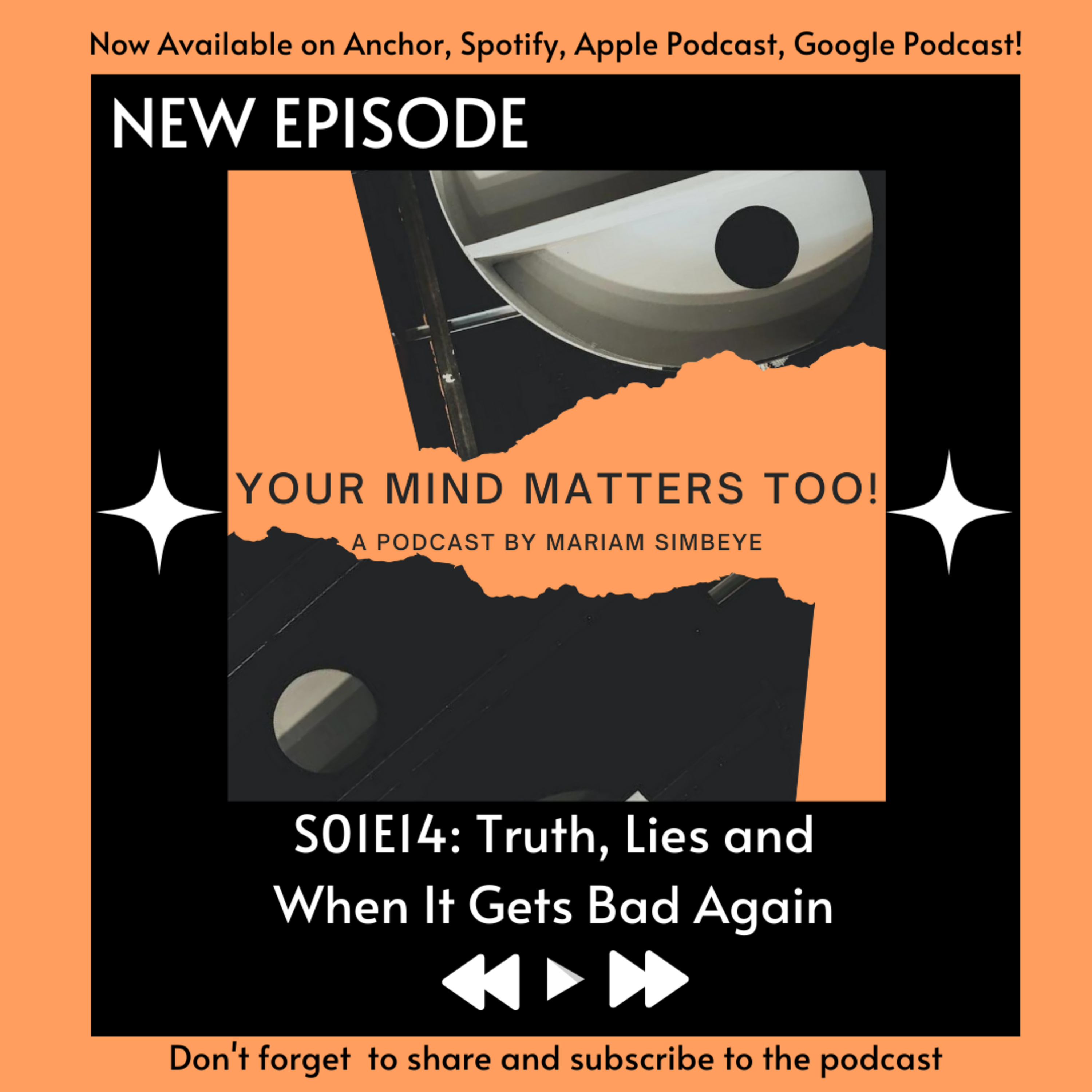 S01E14: Truth, Lies and When It Gets Bad Again  episode artwork