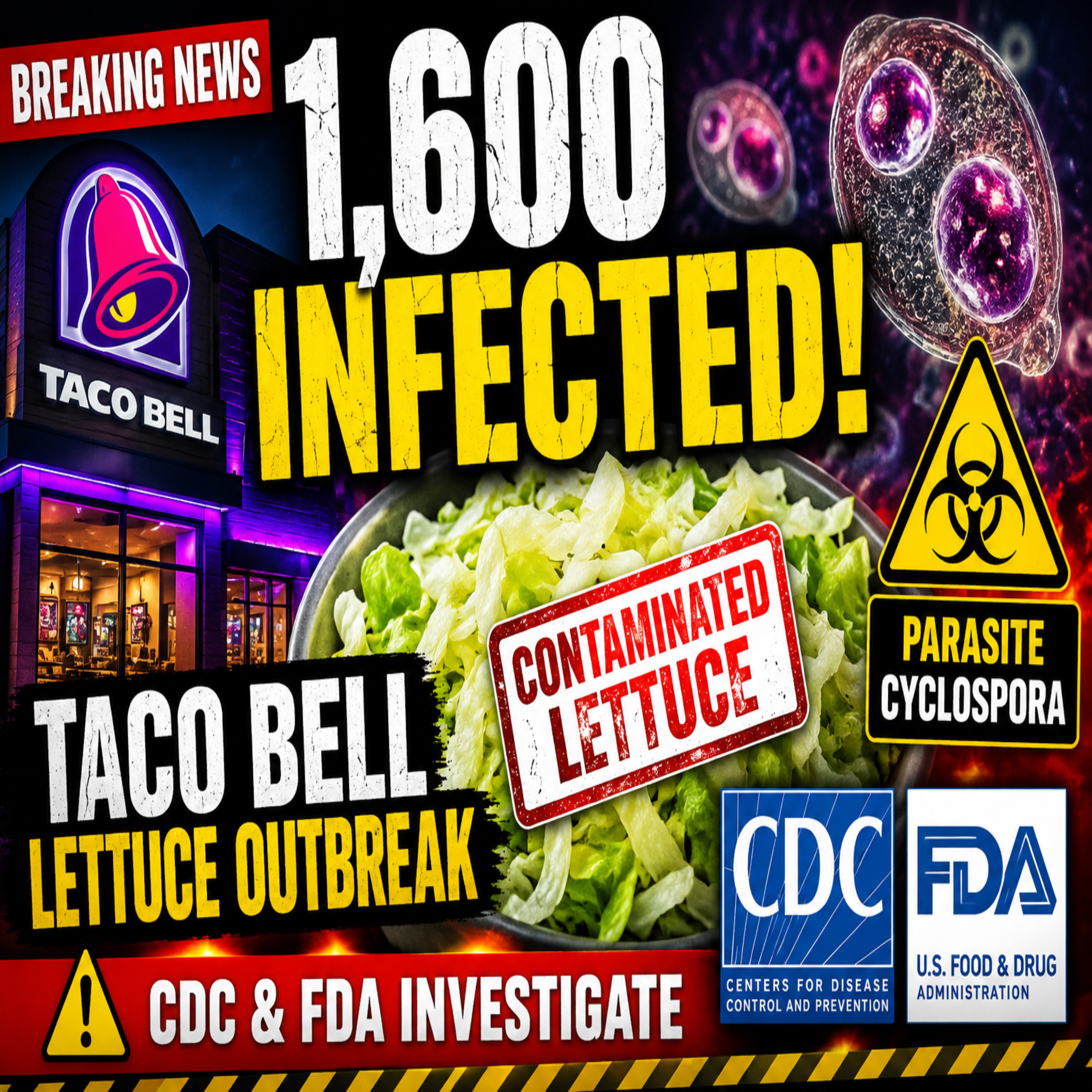 Contaminated Lettuce Crisis: What the CDC Isn’t Ignoring