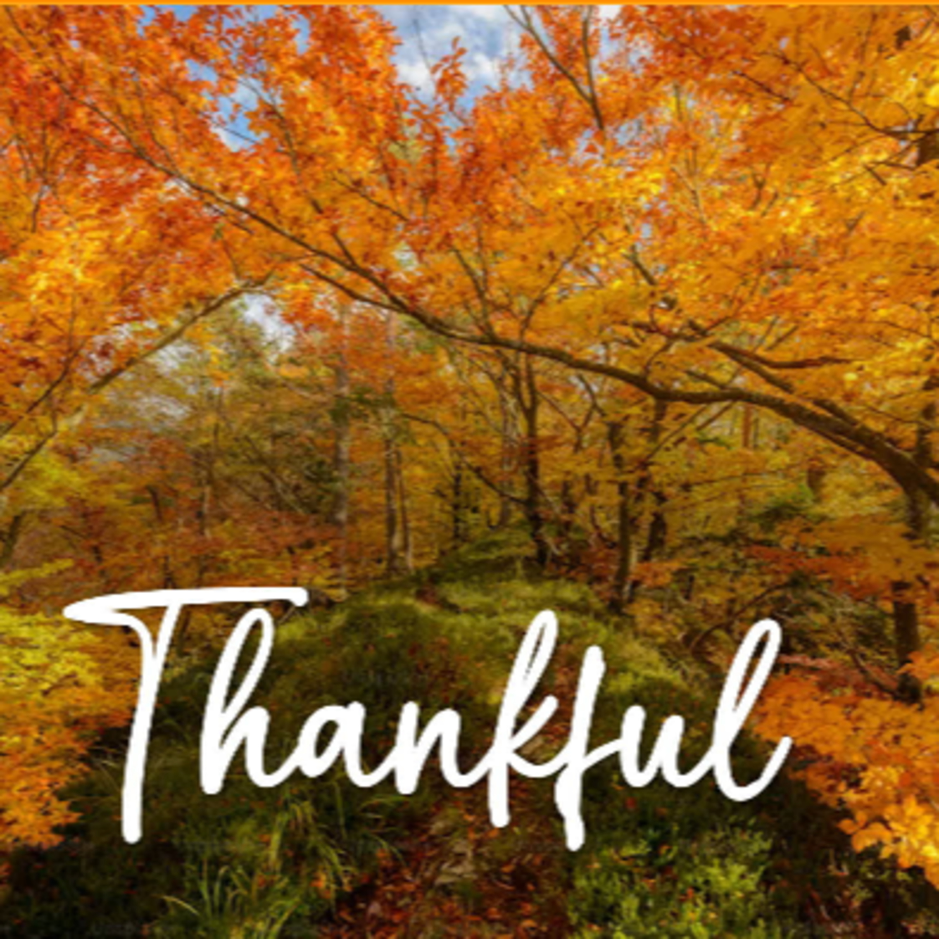 Thankful - David Duncan episode artwork