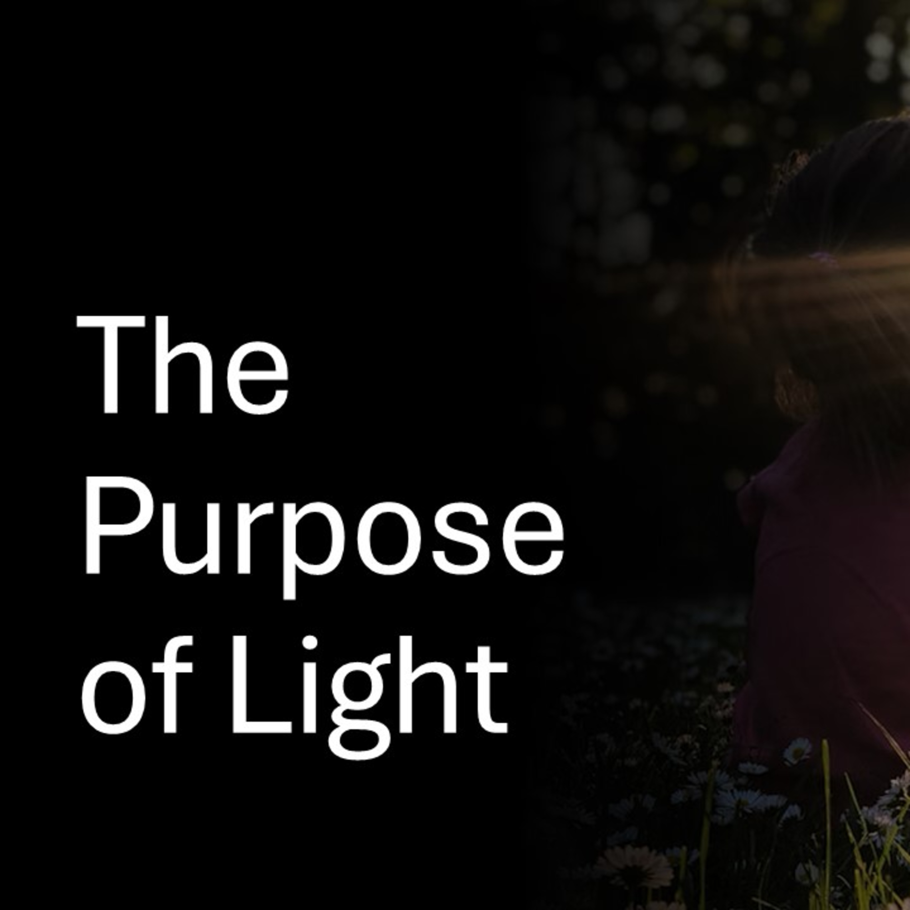 The Purpose of Light - David Duncan episode artwork