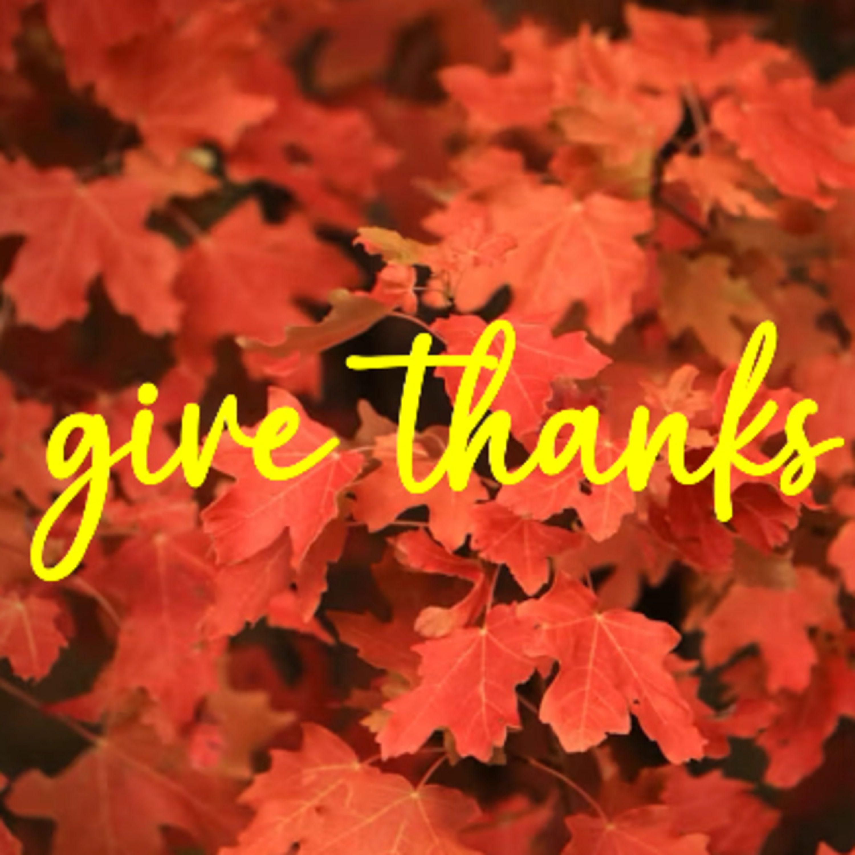 Give Thanks - David Duncan episode artwork