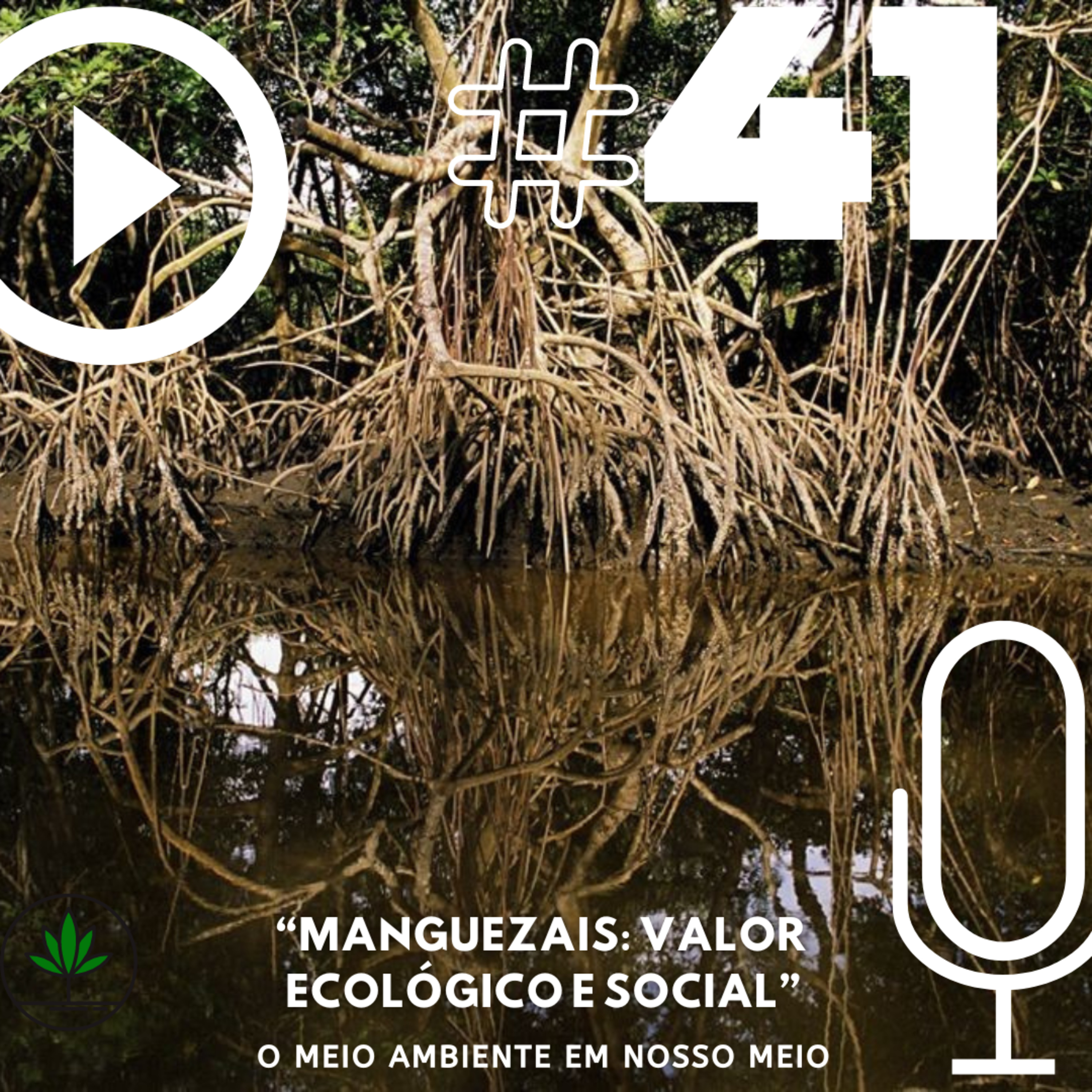 Ep. 41 - Manguezais: valor ecológico e social.