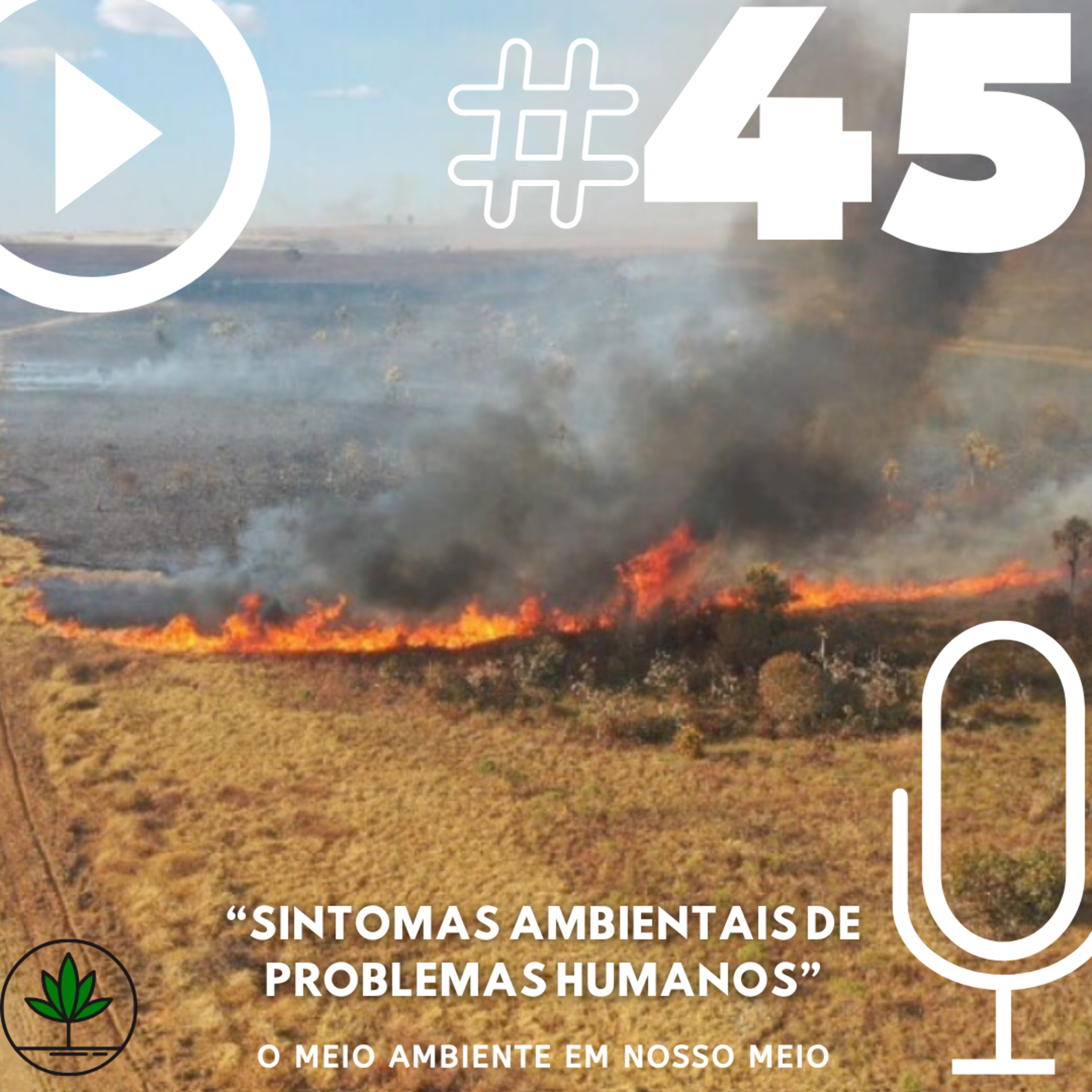 Ep. 45 - Sintomas ambientais de problemas humanos