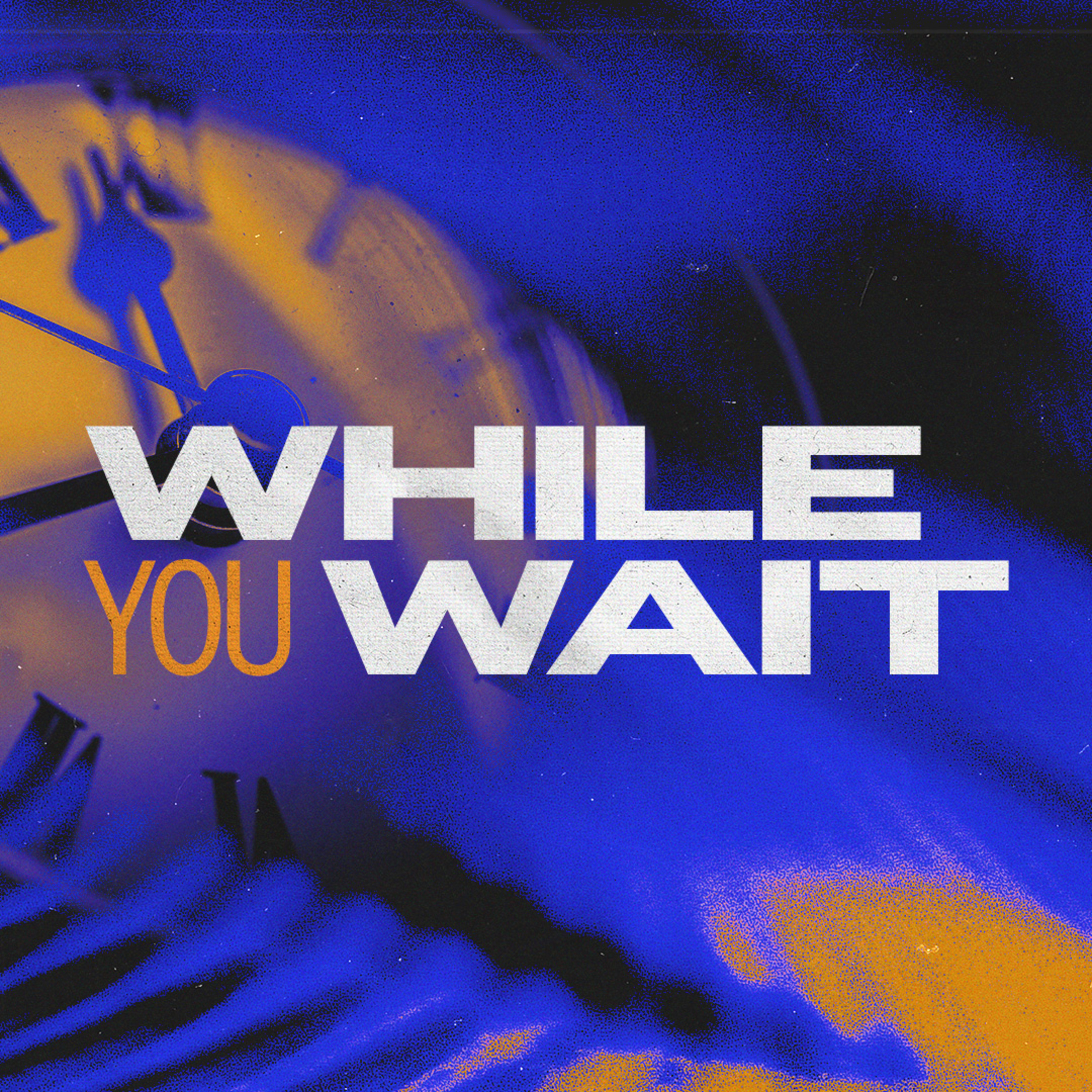 While You Wait episode artwork