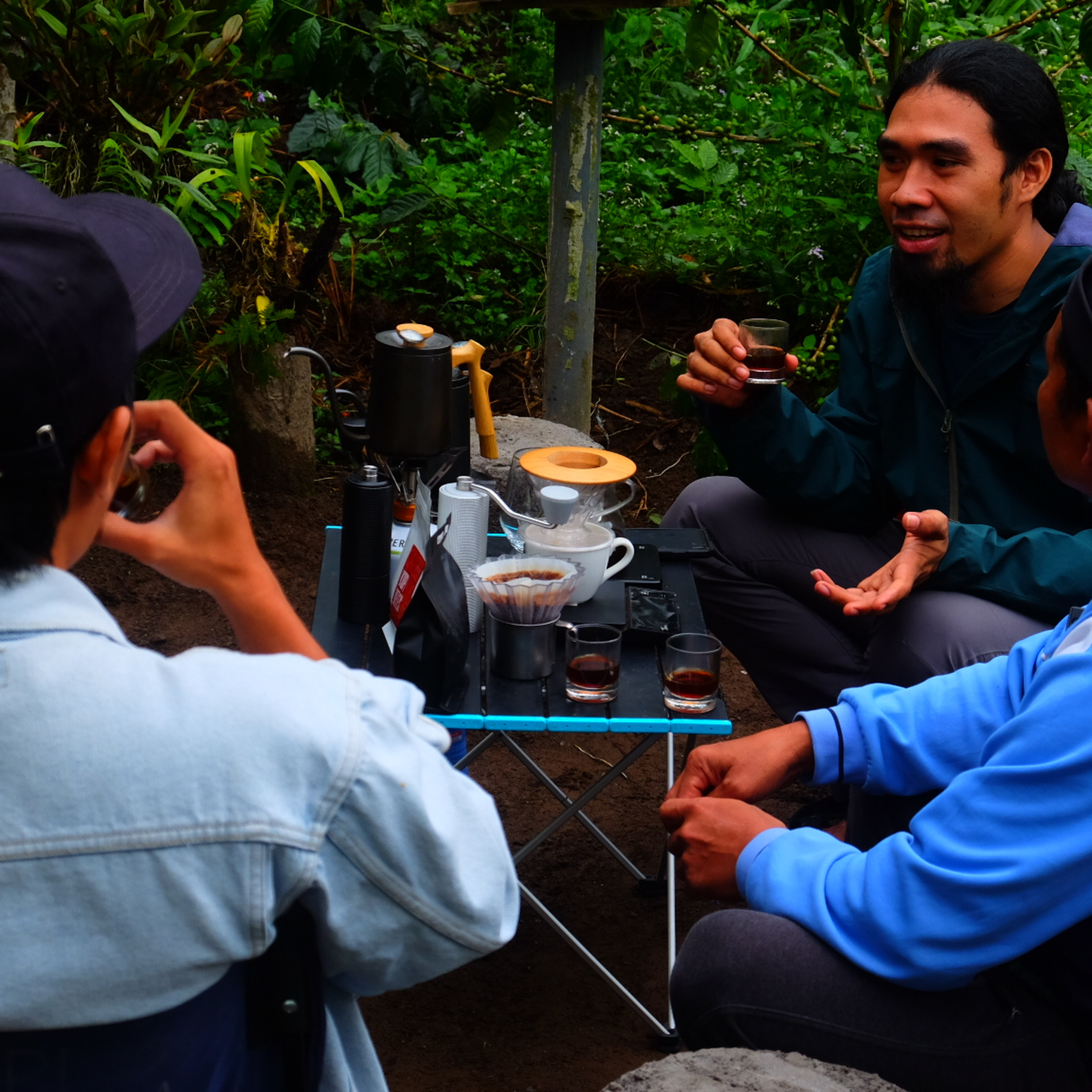 PETANI, KEBUN KOPI, CERITA: Pengalaman Menyeduh dan Bertukar Cerita Hulu-Hilir Kopi Langsung Di Kebun Kopi episode artwork
