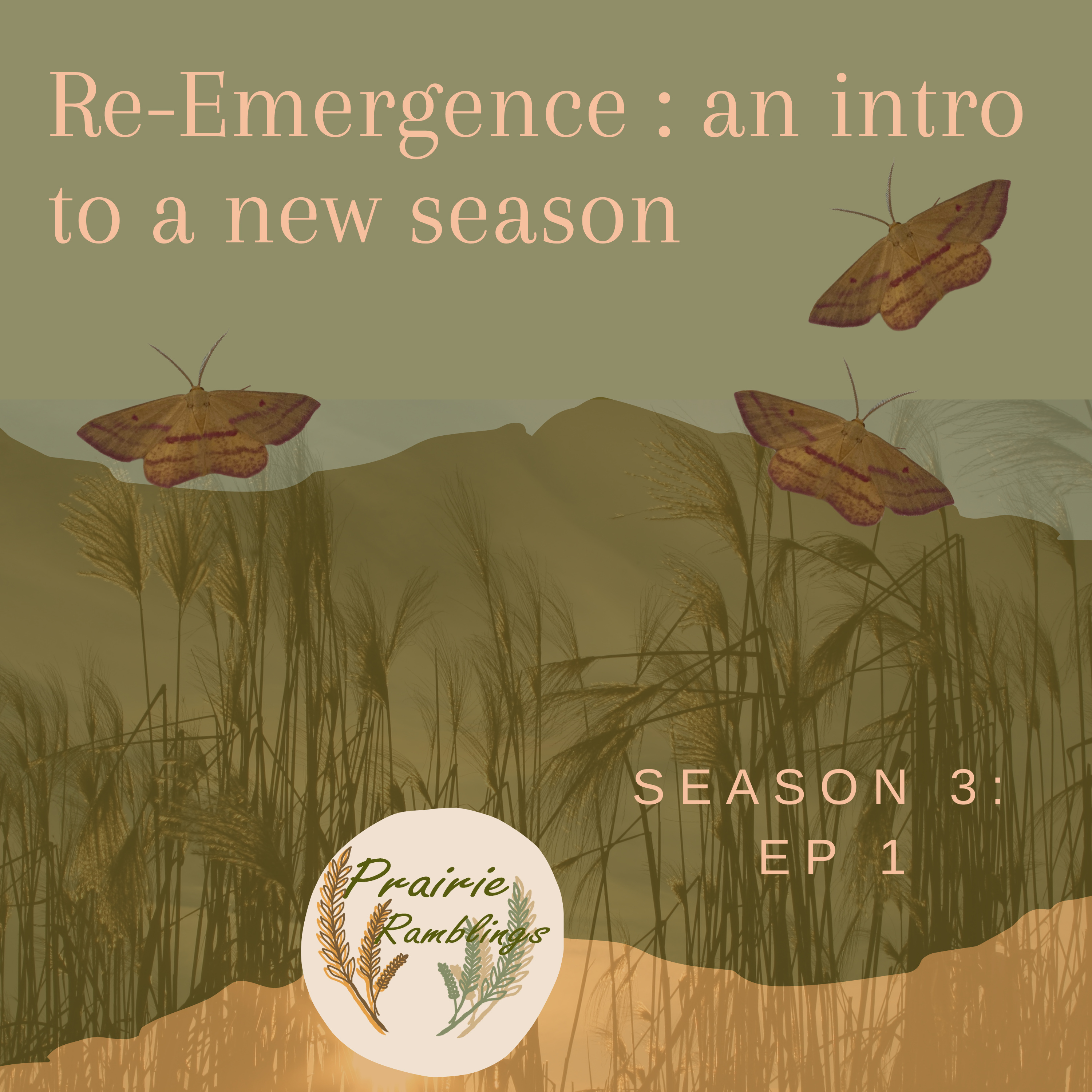 Prairie Ramblings